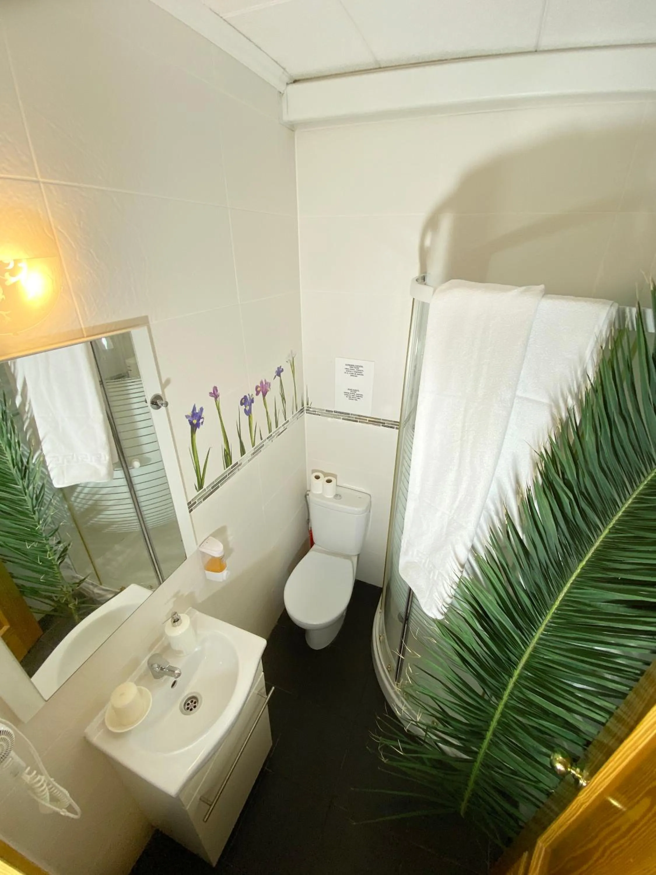 Bathroom in Hostal Azahara