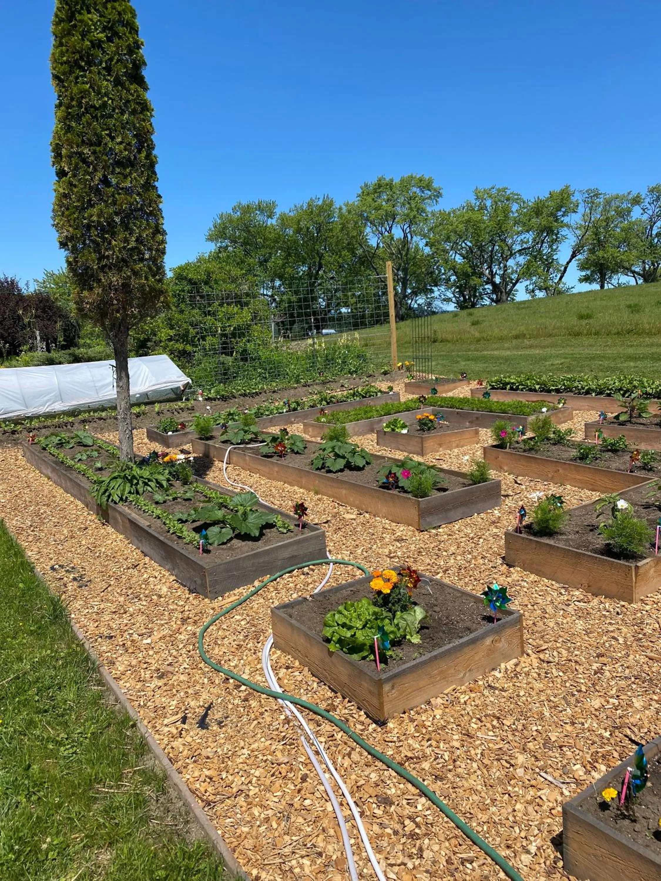 Garden in The Wildflower Inn