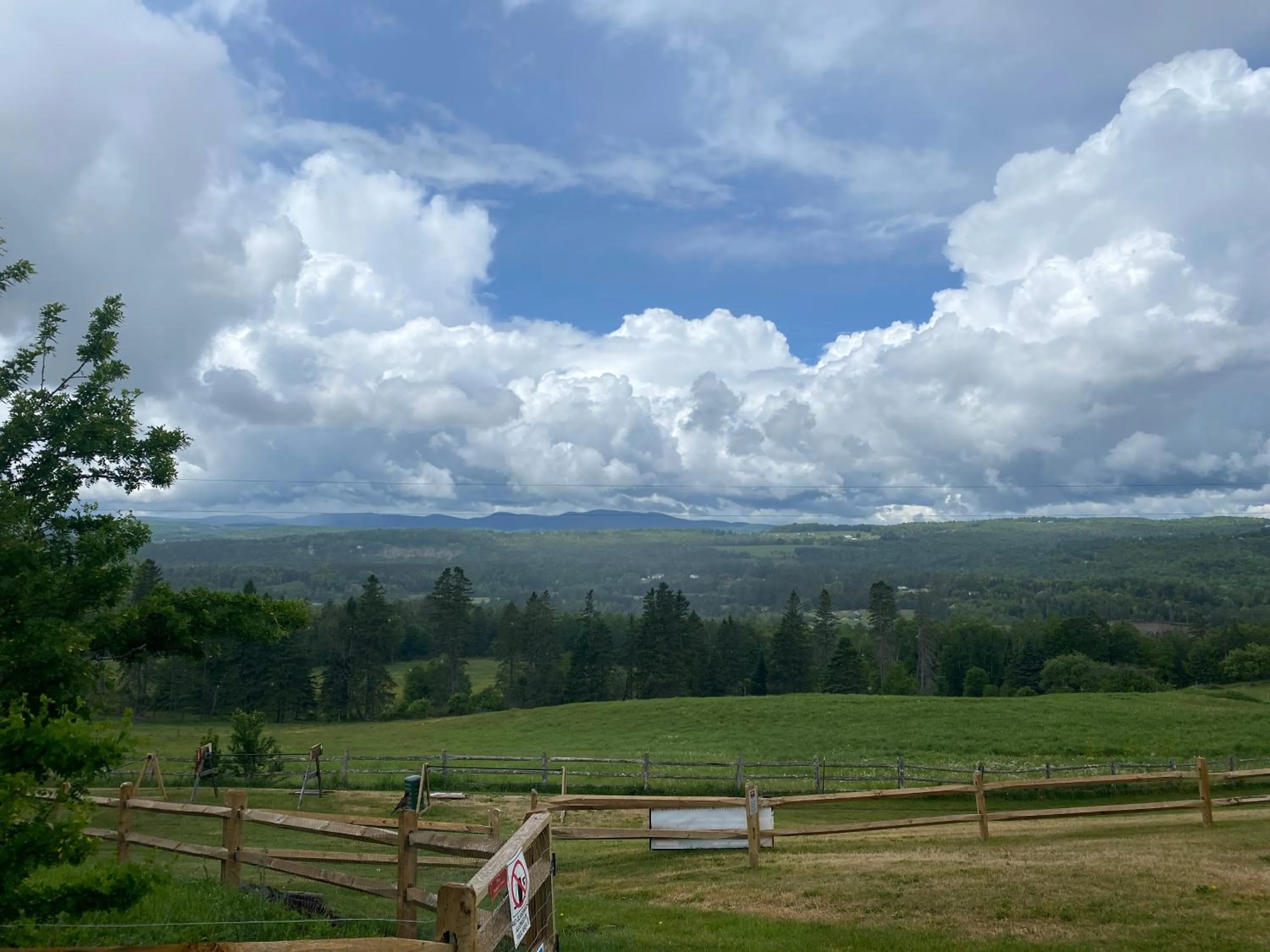 Natural landscape in The Wildflower Inn