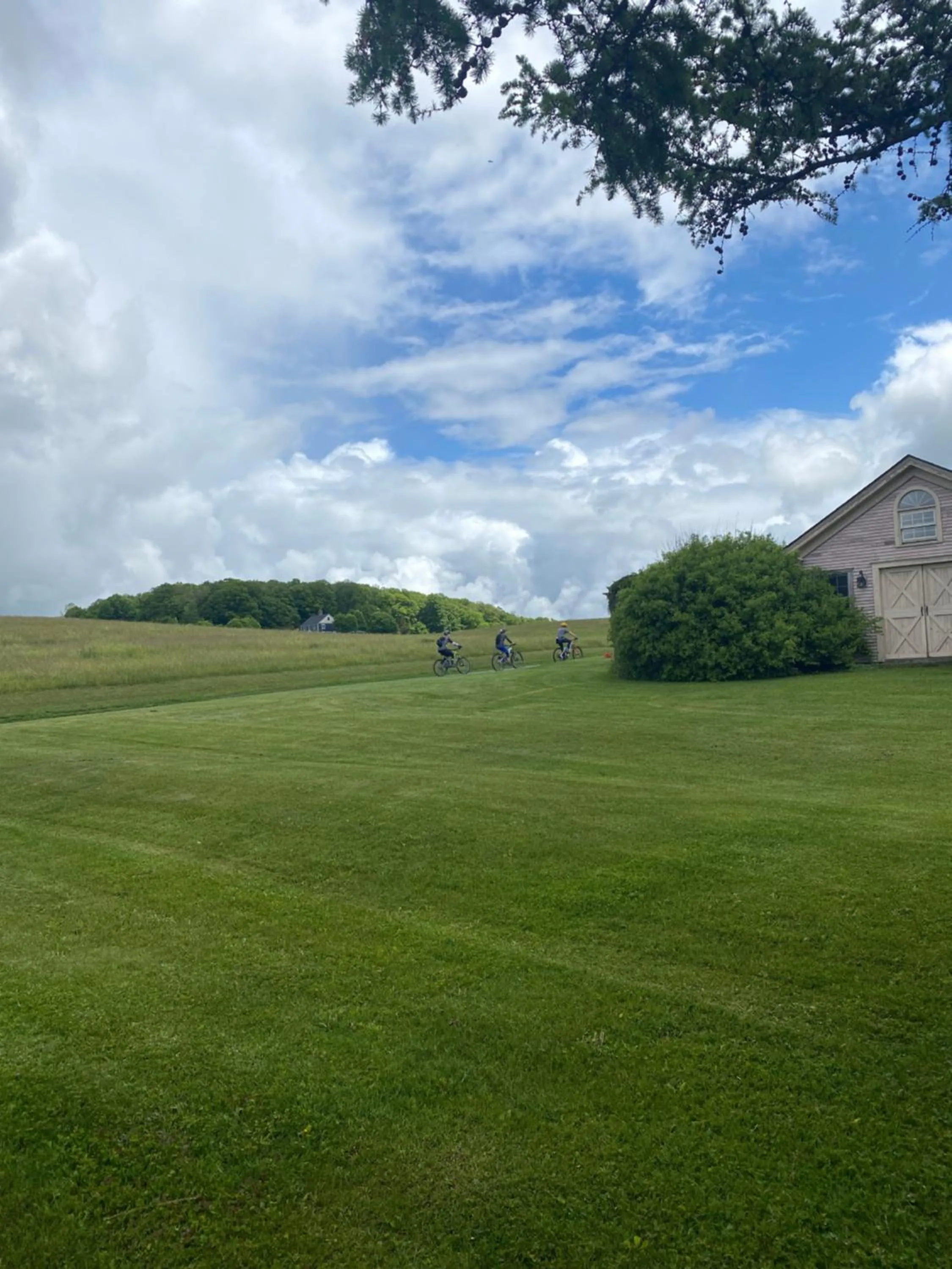 Natural landscape in The Wildflower Inn