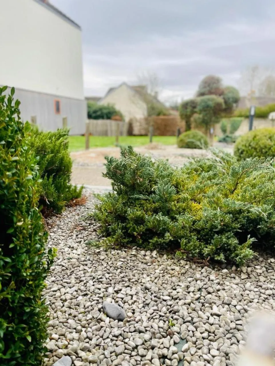 Garden in Au Coeur Des Bulles