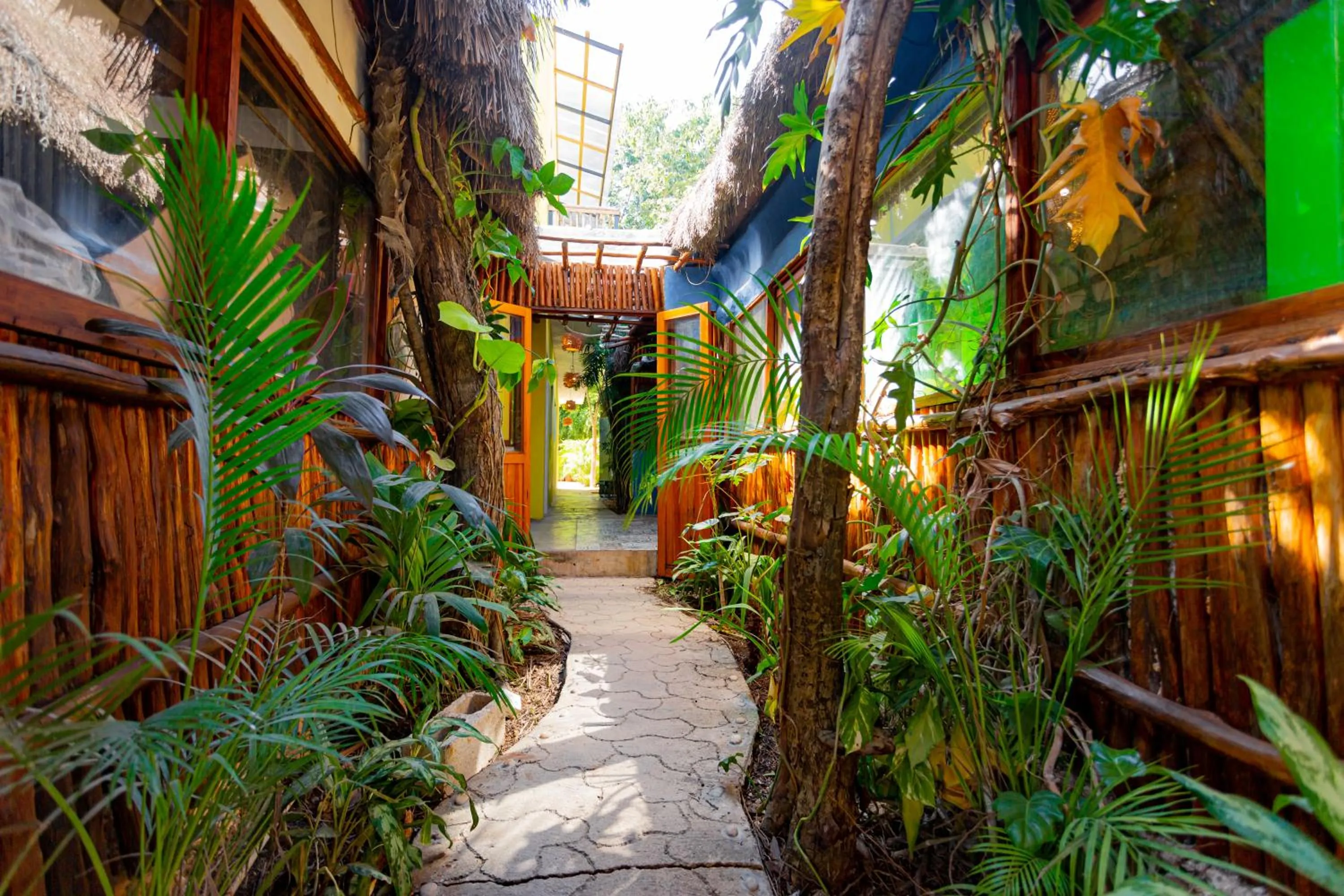 Property Building in Hotel Carlitos Tulum 