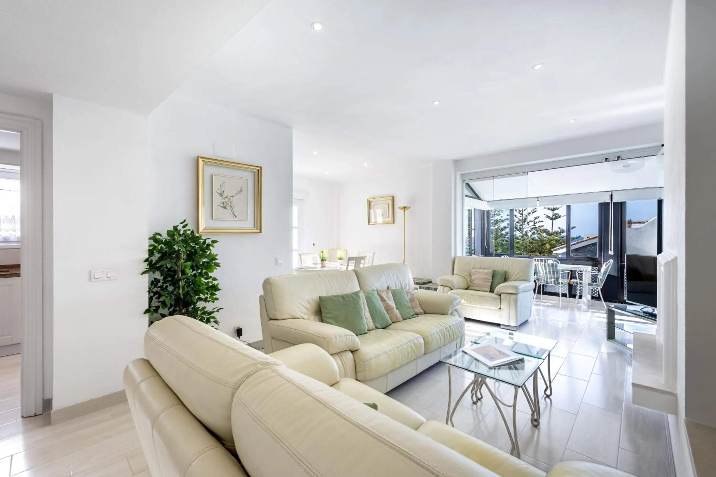 TV and multimedia in Jardines de las Golondrinas