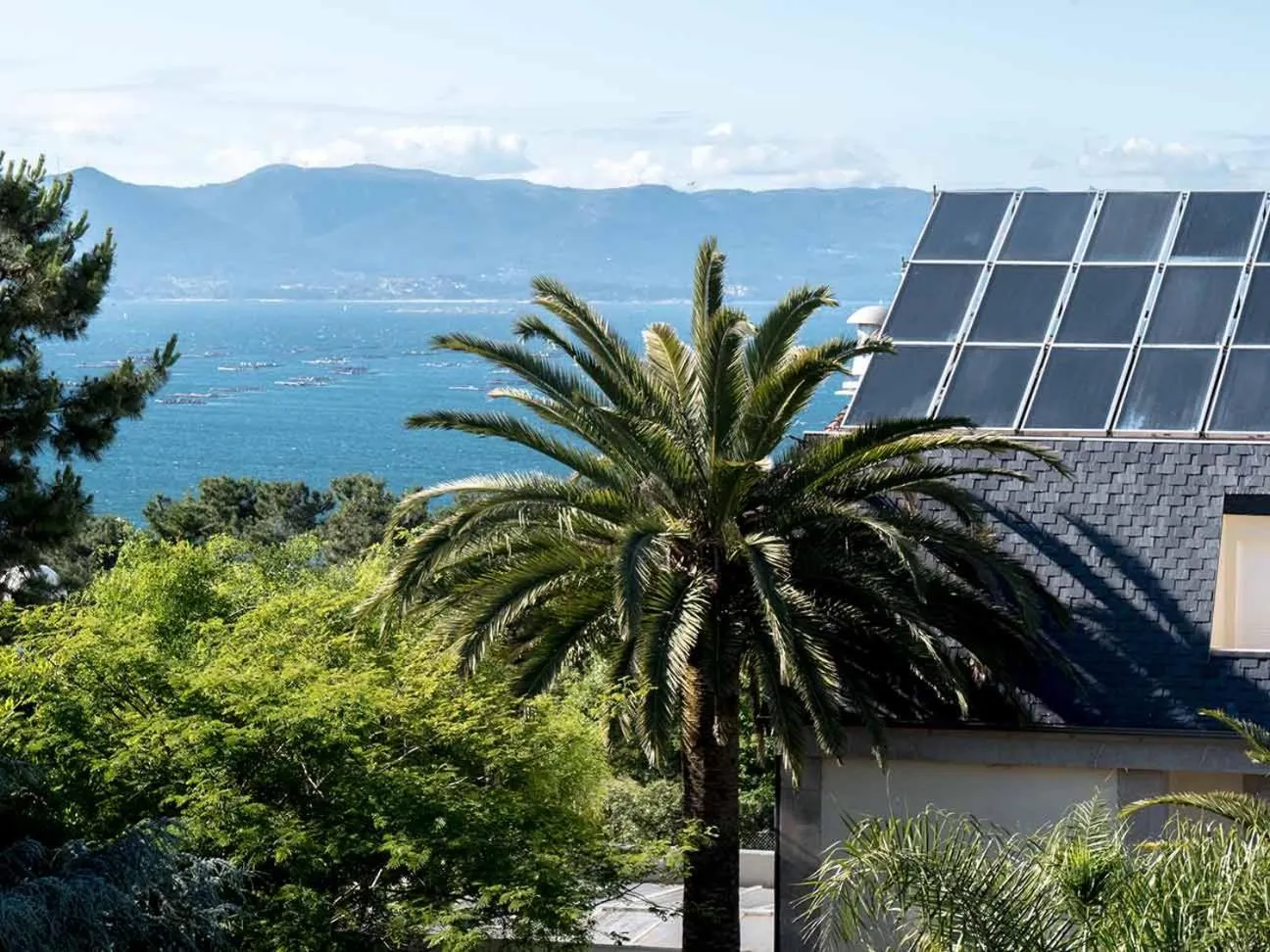 Garden view in Hotel Spa Bosque Mar