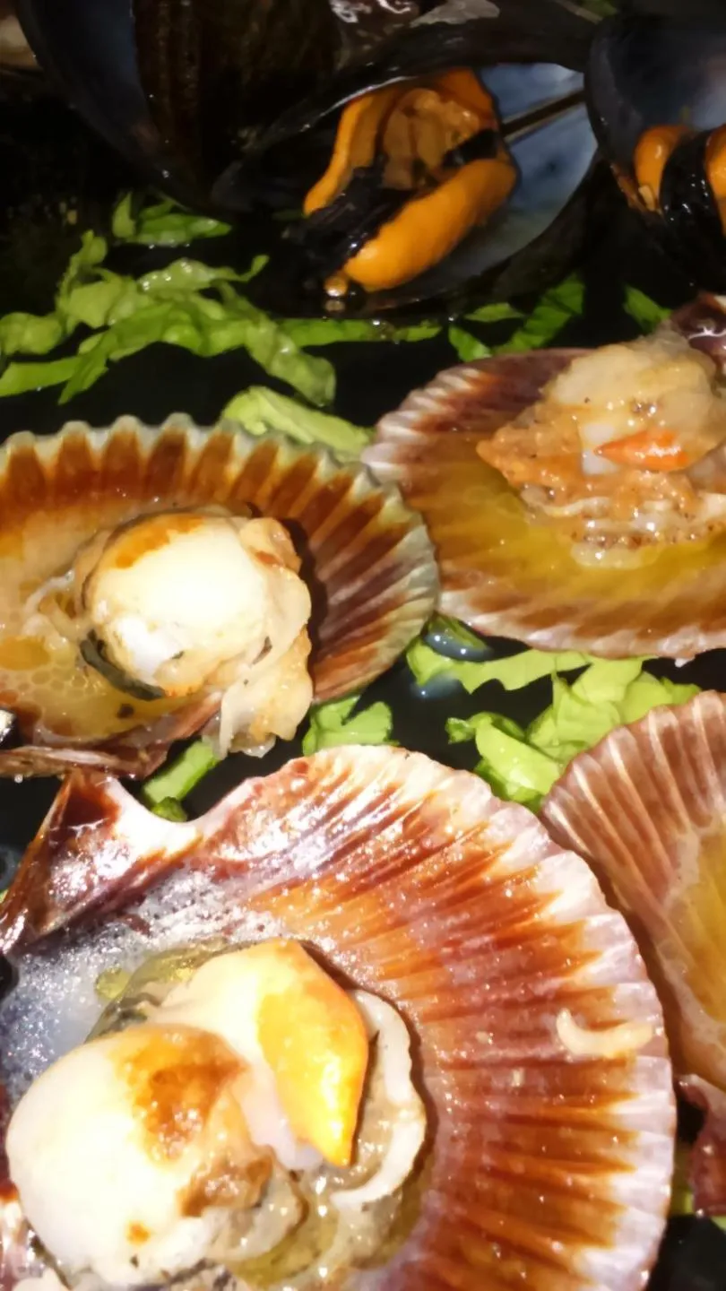 Food close-up in Hotel Spa Bosque Mar