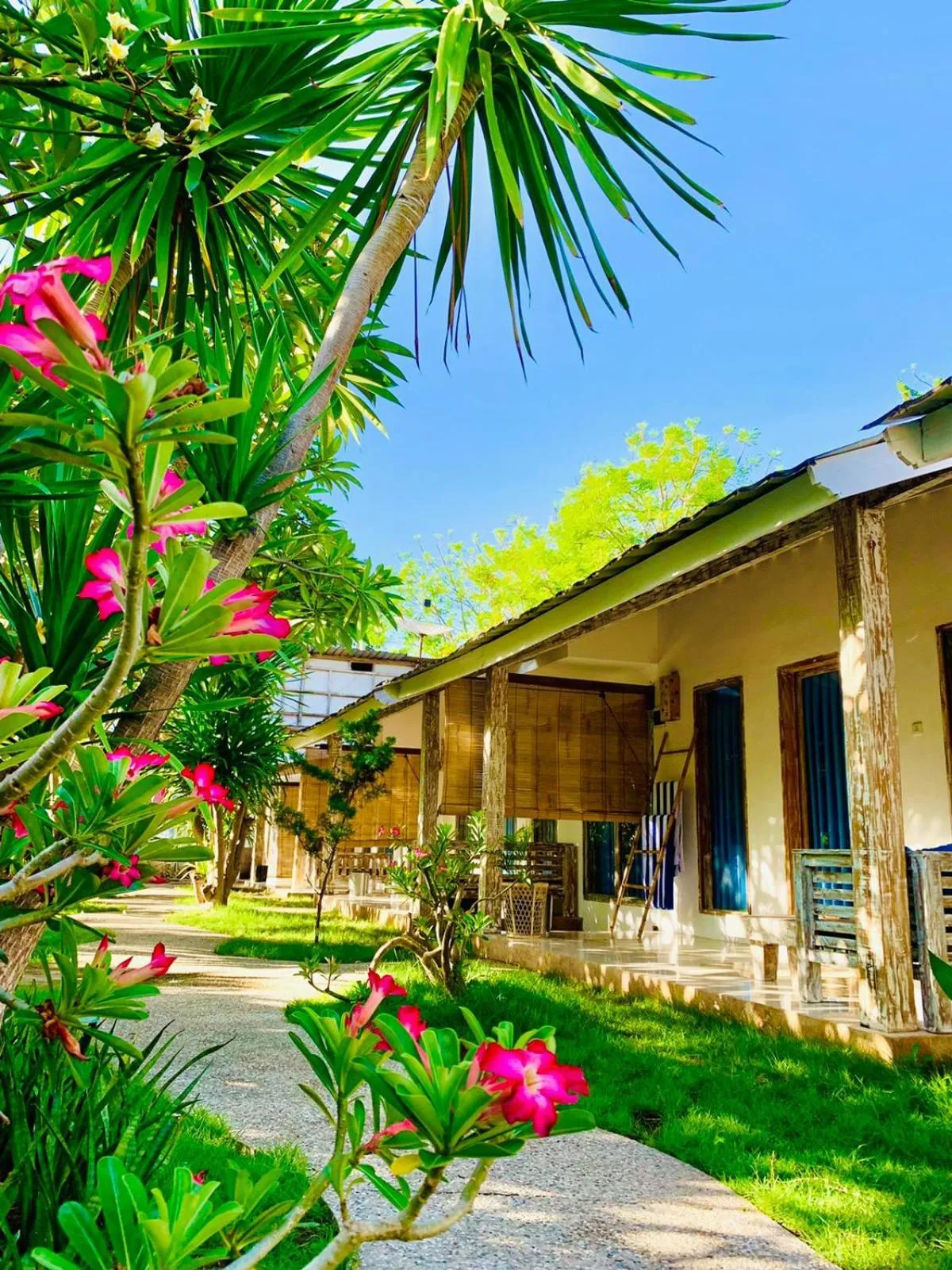 Property building in Oasis Villas