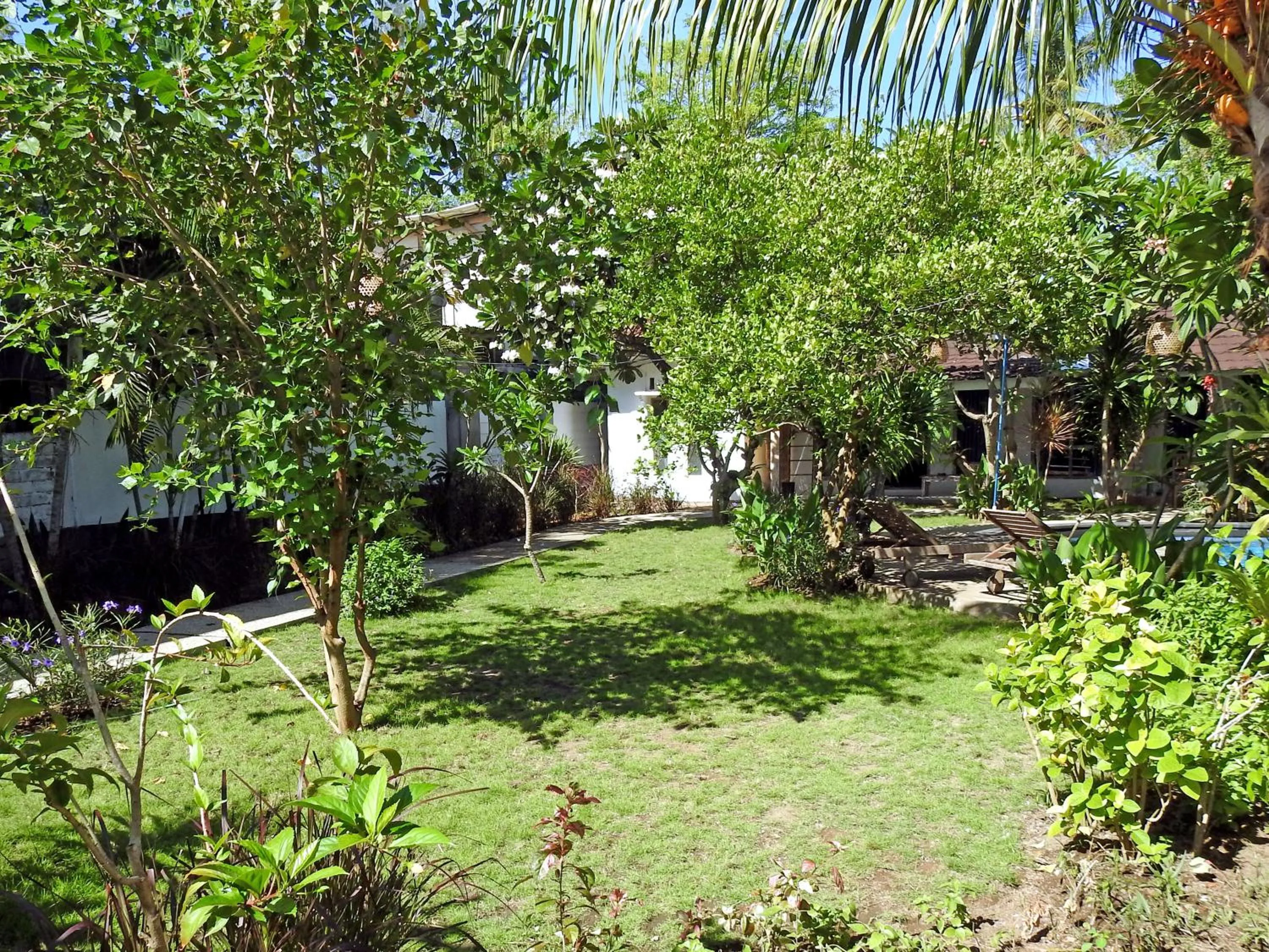 Garden in Oasis Villas