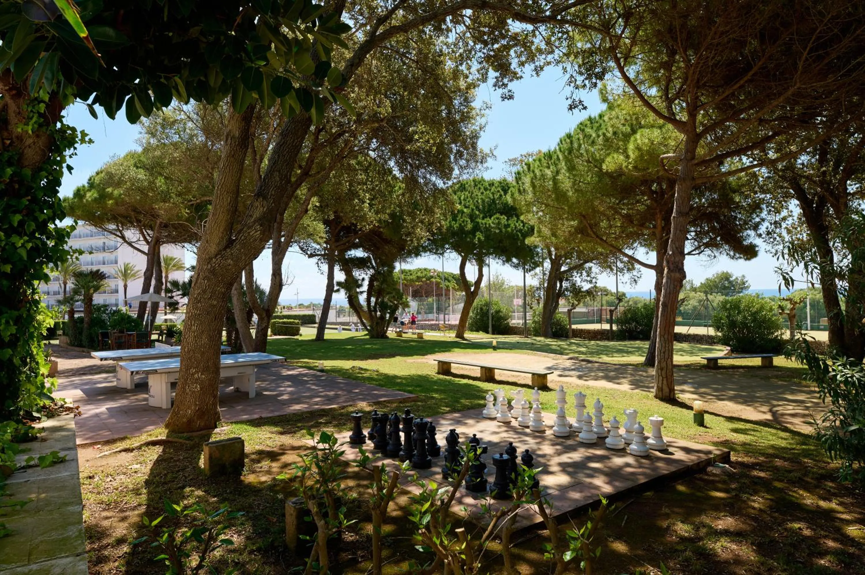 Sports in AluaSoul Menorca - Adults Only