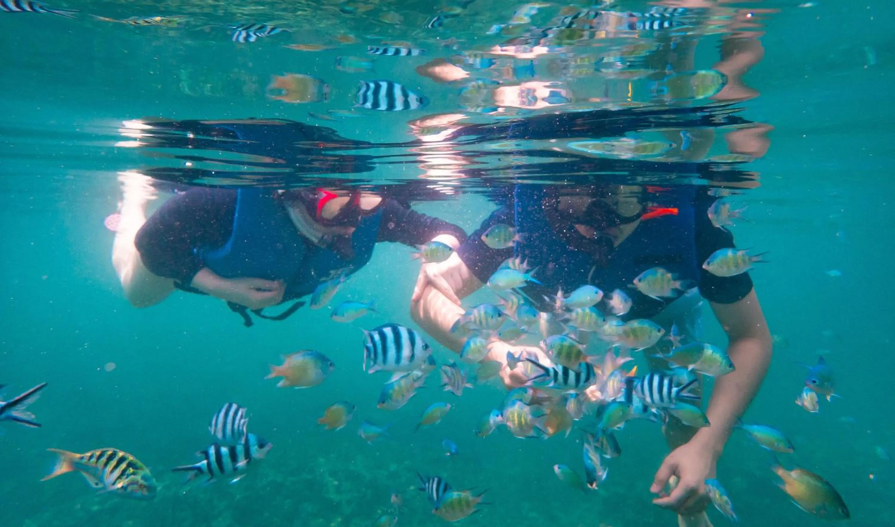 Activities in JSK Mantanani Island Resorts