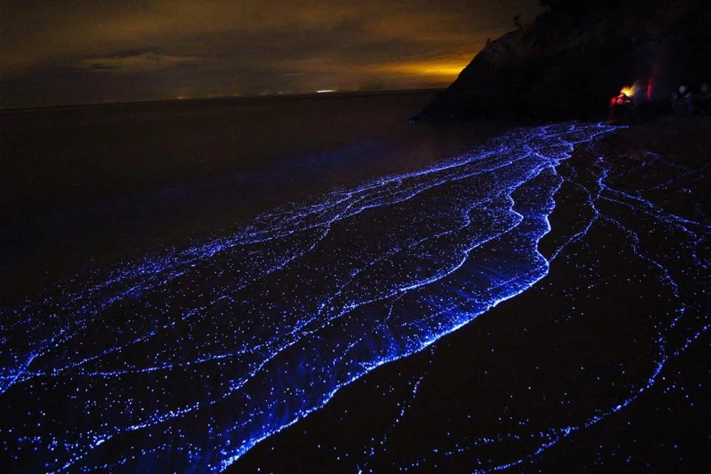 JSK Mantanani Island Resorts