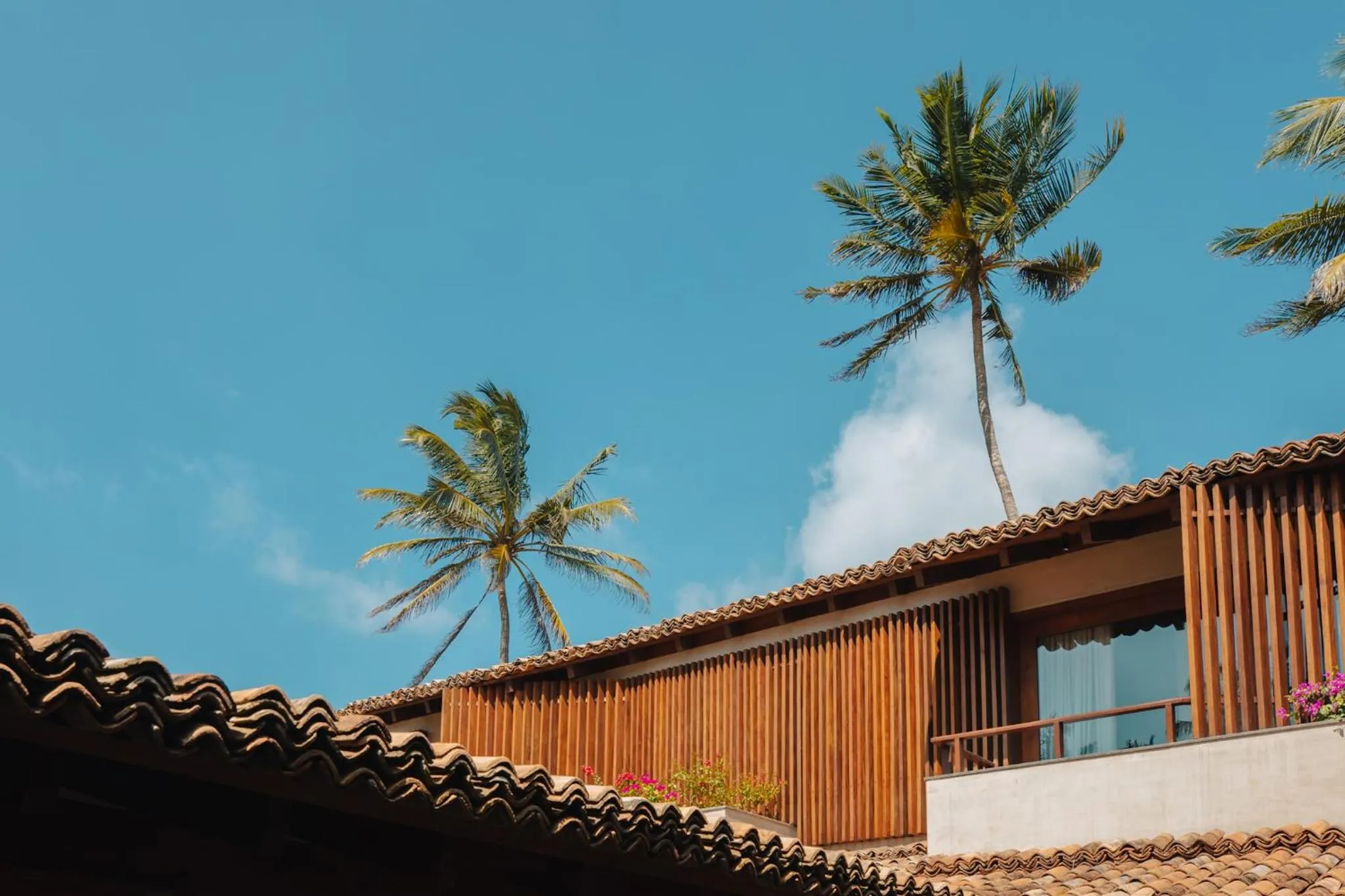 Natural landscape in Villa Thamburu, Bentota