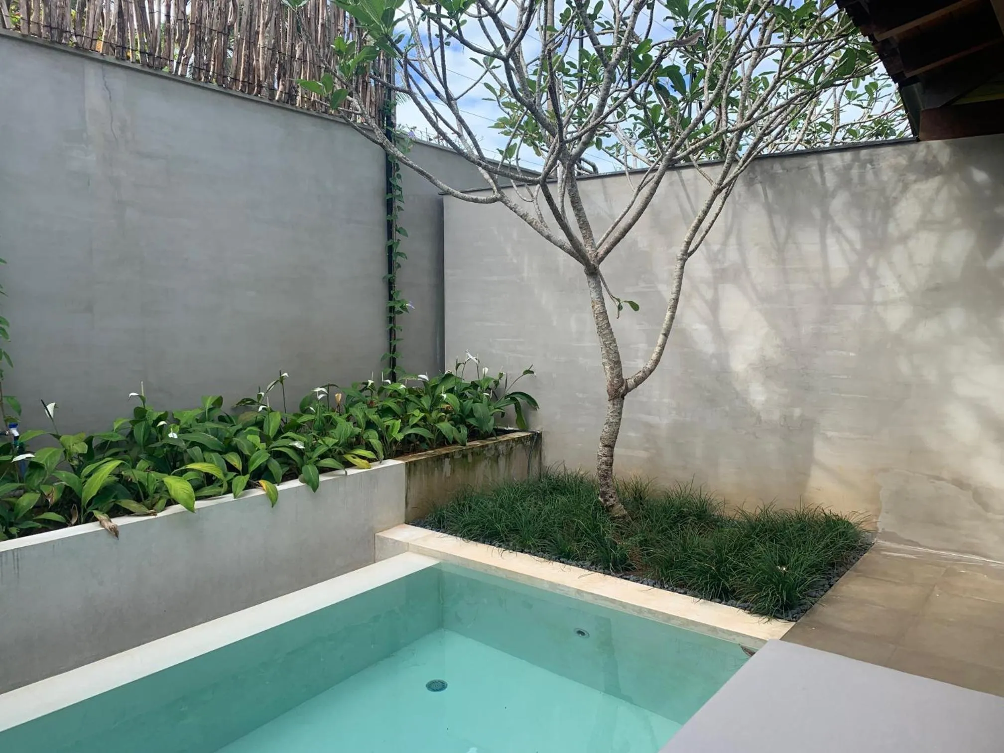 Garden view in Villa Thamburu, Bentota