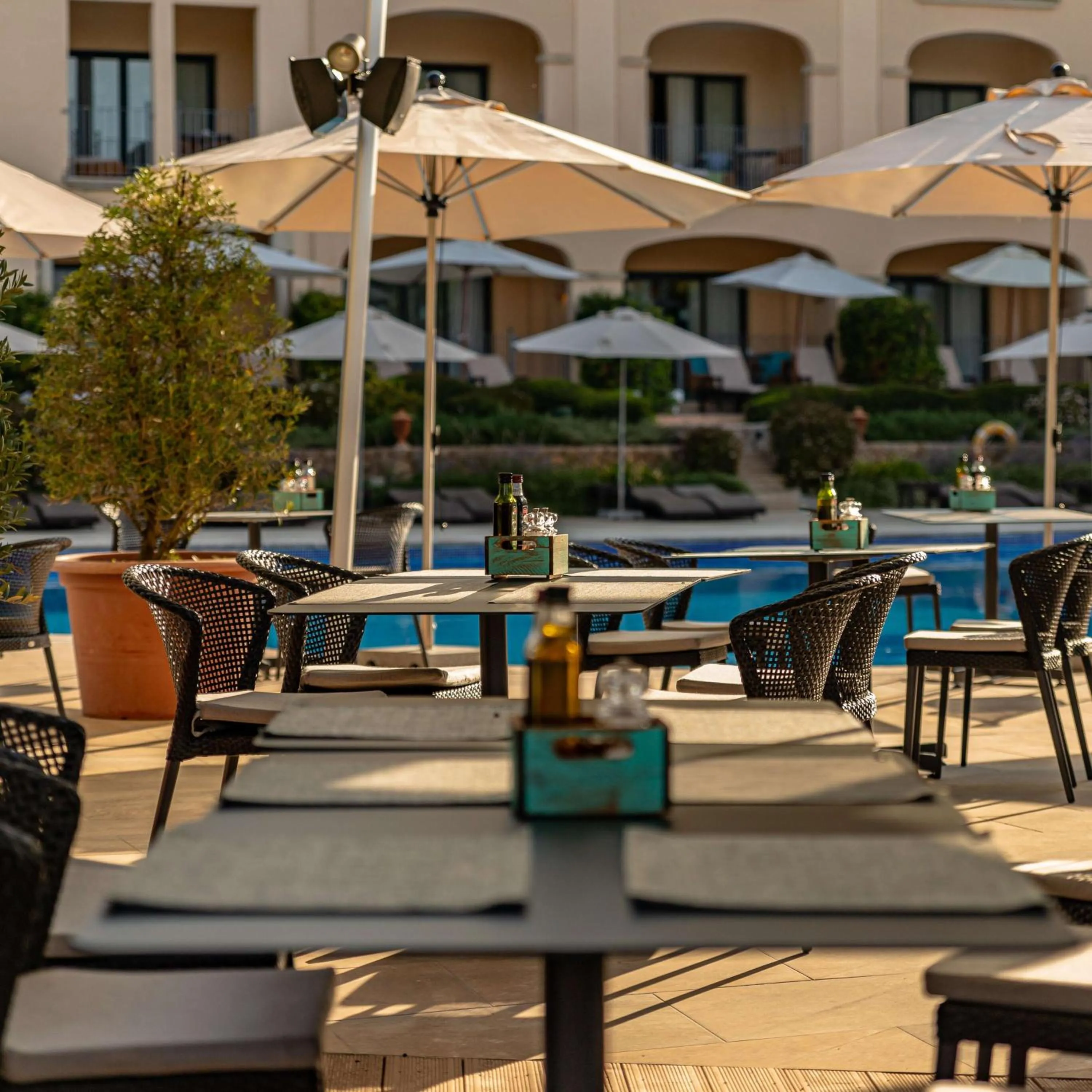 Restaurant/places to eat in Steigenberger Hotel and Resort Camp de Mar