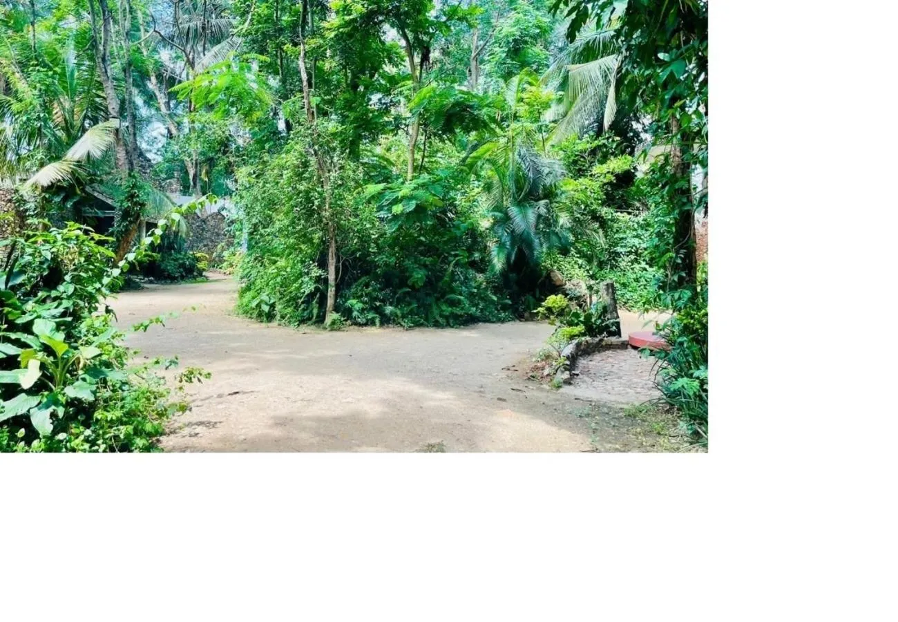 Garden in Advaitha Serenity Resorts