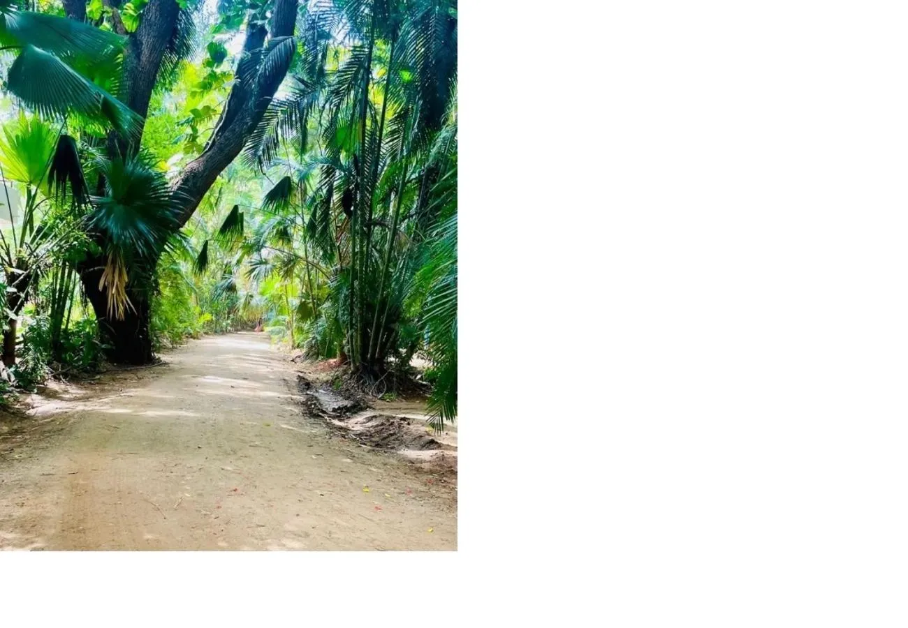 Property building in Advaitha Serenity Resorts