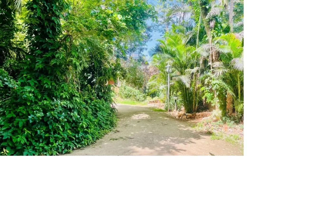 Property building in Advaitha Serenity Resorts