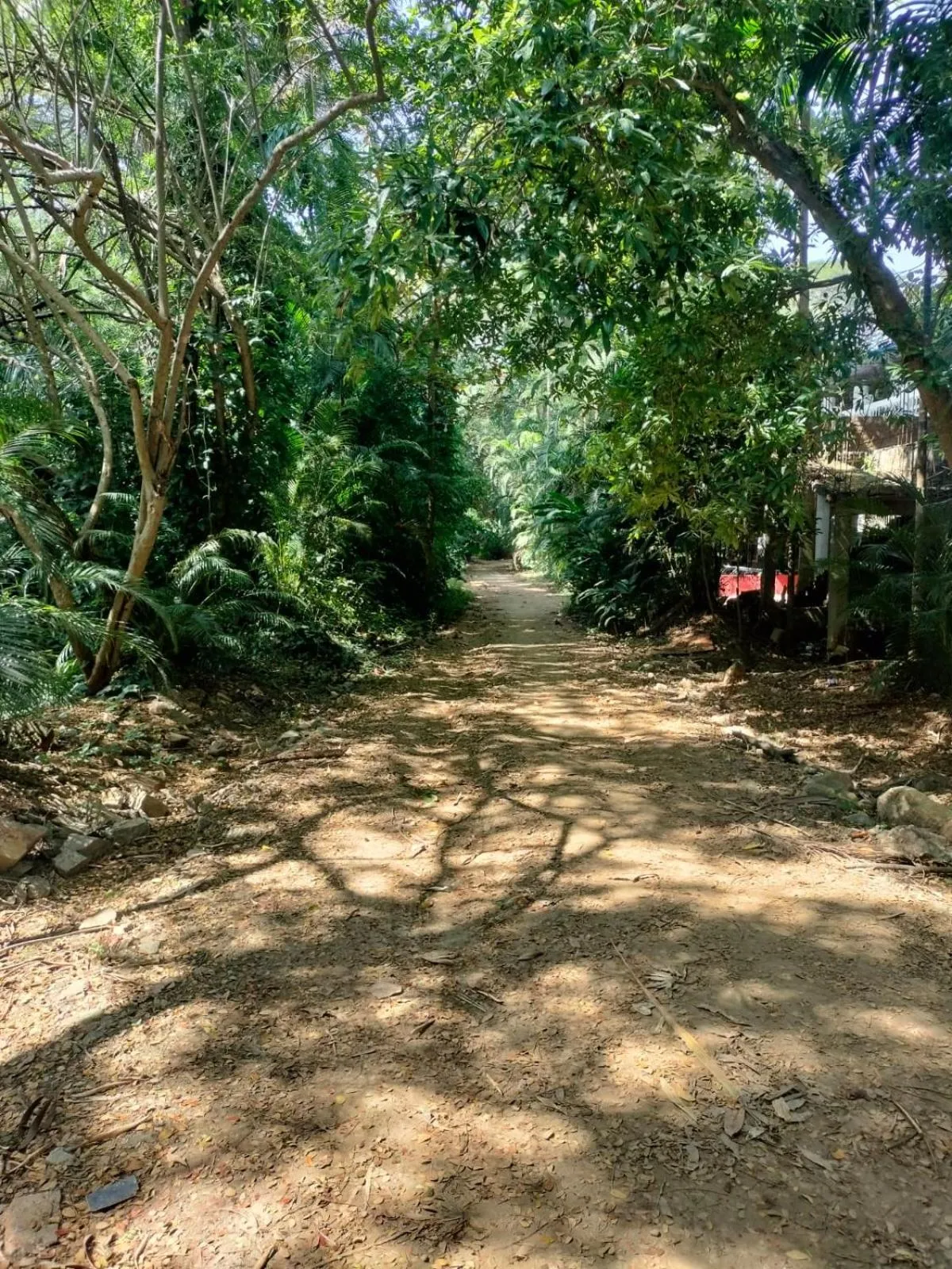 Property building in Advaitha Serenity Resorts