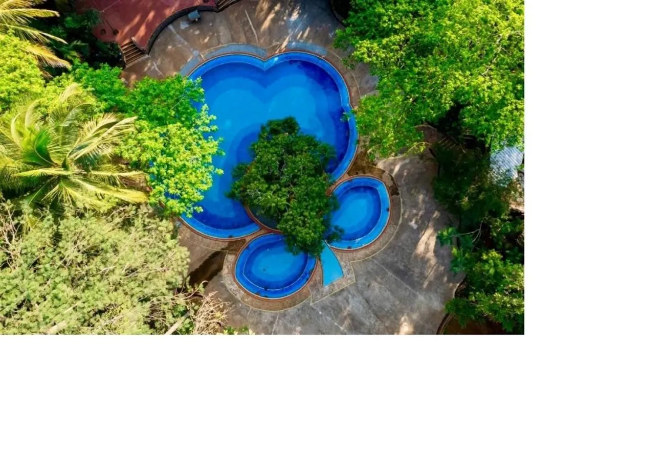 Swimming pool in Advaitha Serenity Resorts