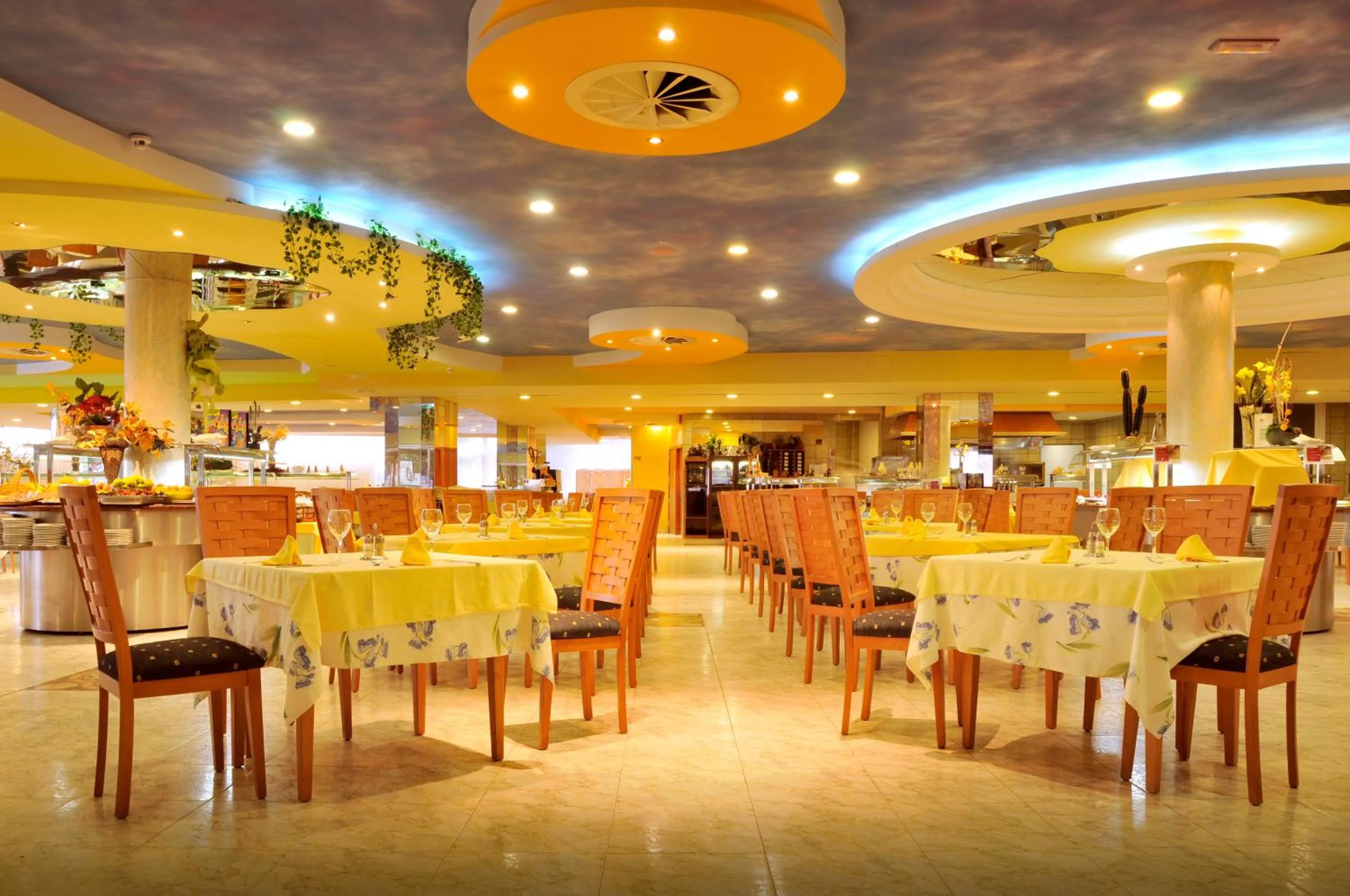 Restaurant/places to eat in KAKTUS Hotel Kaktus Albir