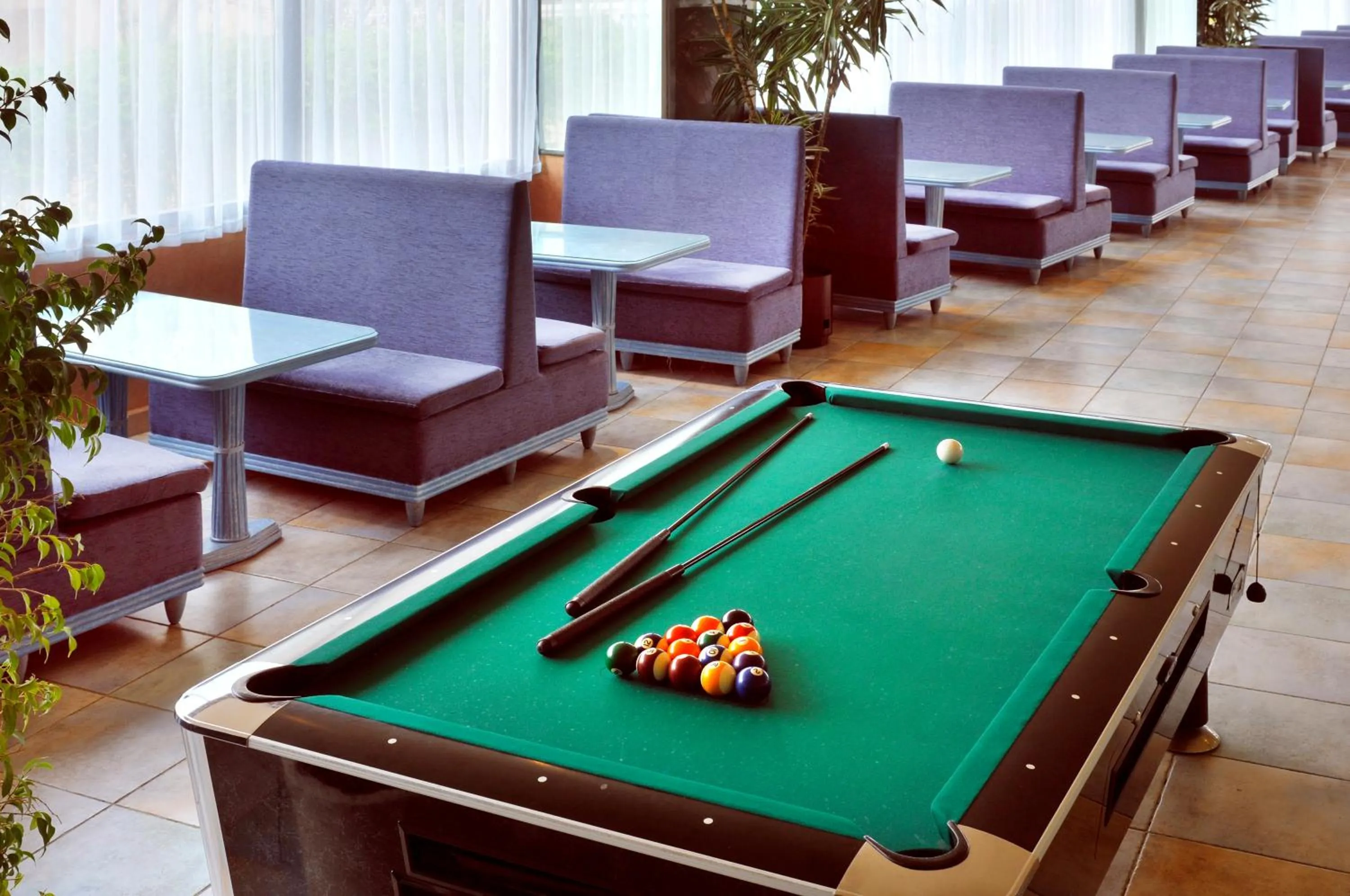 Activities in KAKTUS Hotel Kaktus Albir