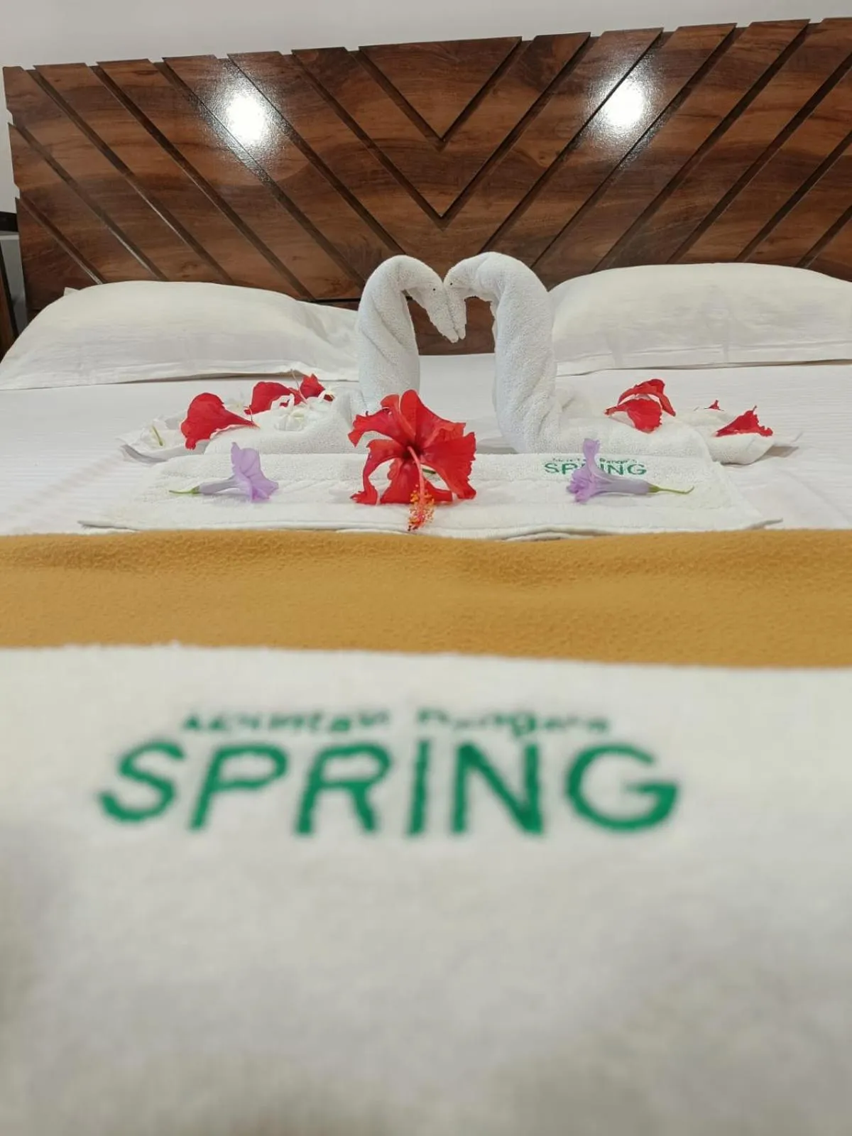 Bed in Spring Nature Stay