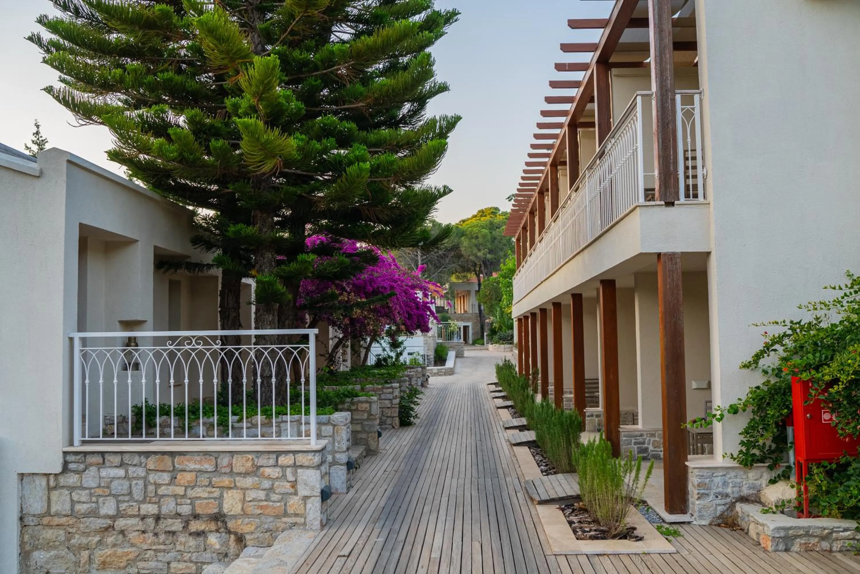 Day in Kairos Valley Wellness & Longevity