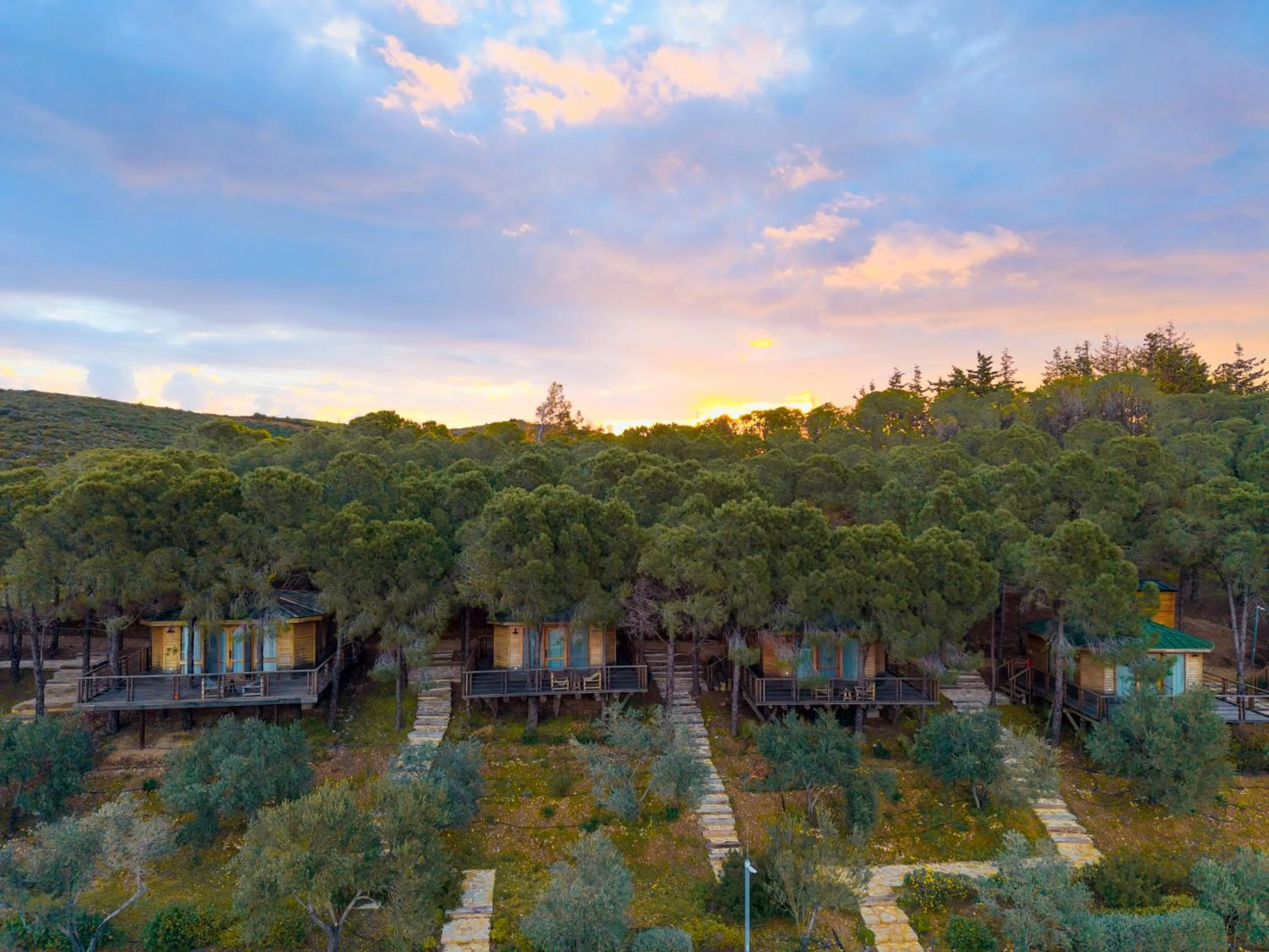 Kairos Valley Wellness & Longevity