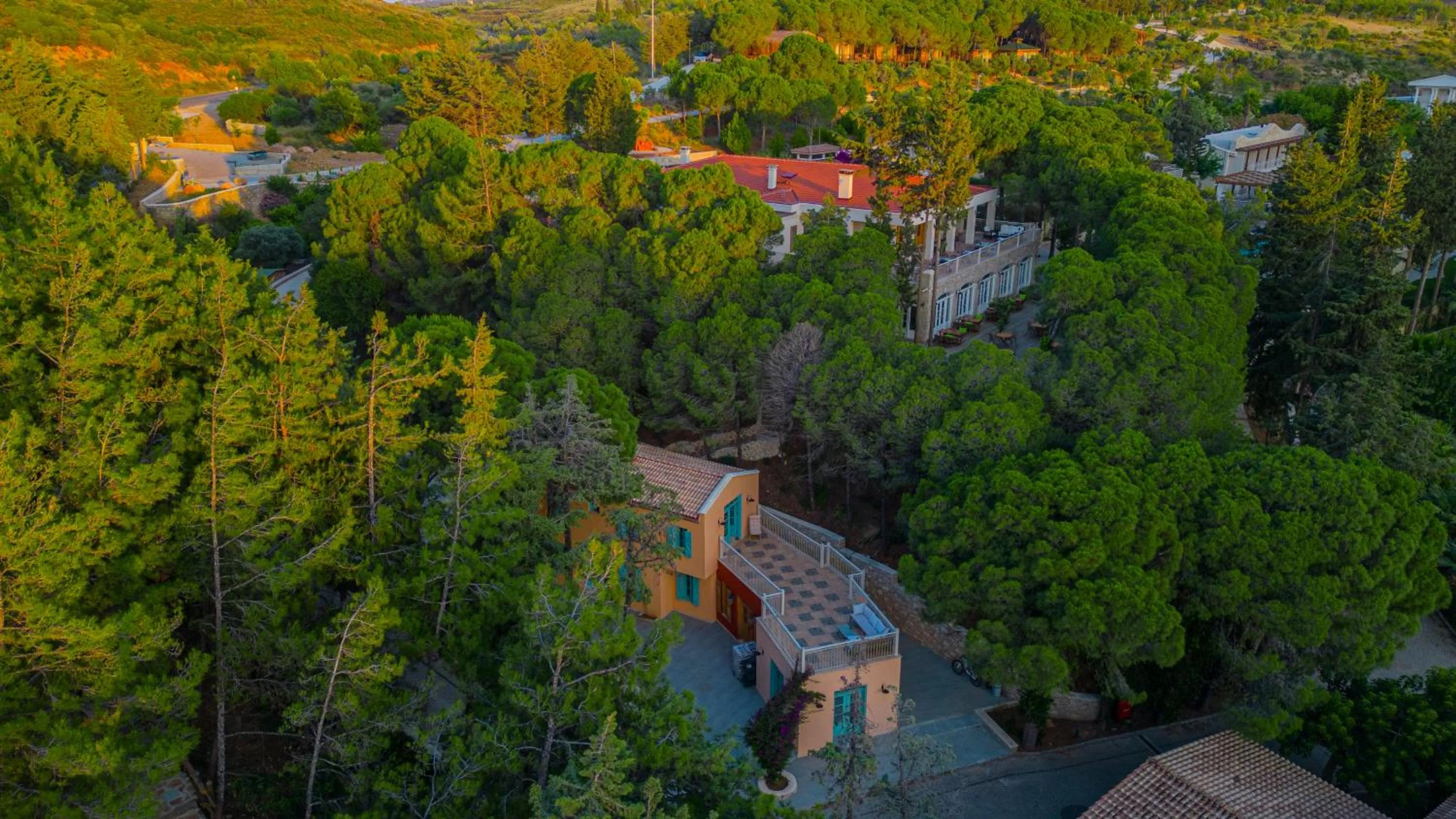 Kairos Valley Wellness & Longevity