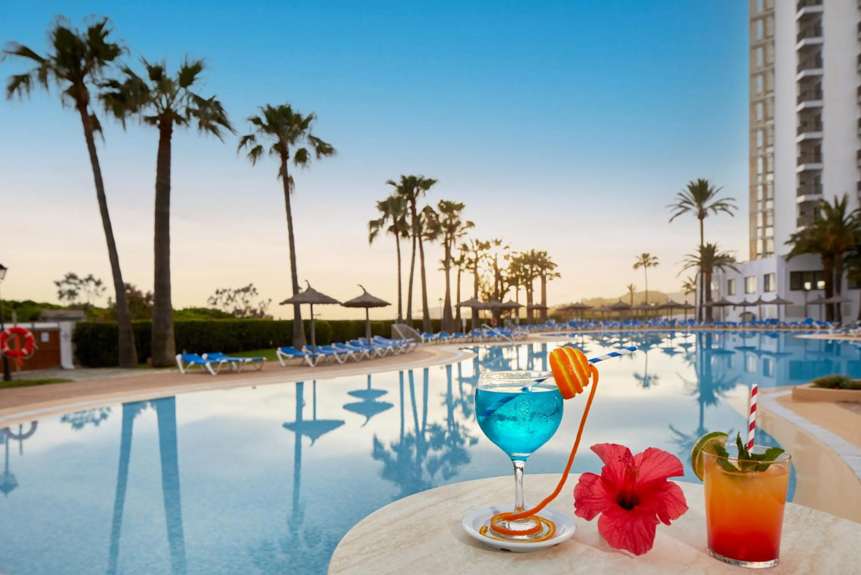 Summer in Sol Milanos Pingüinos