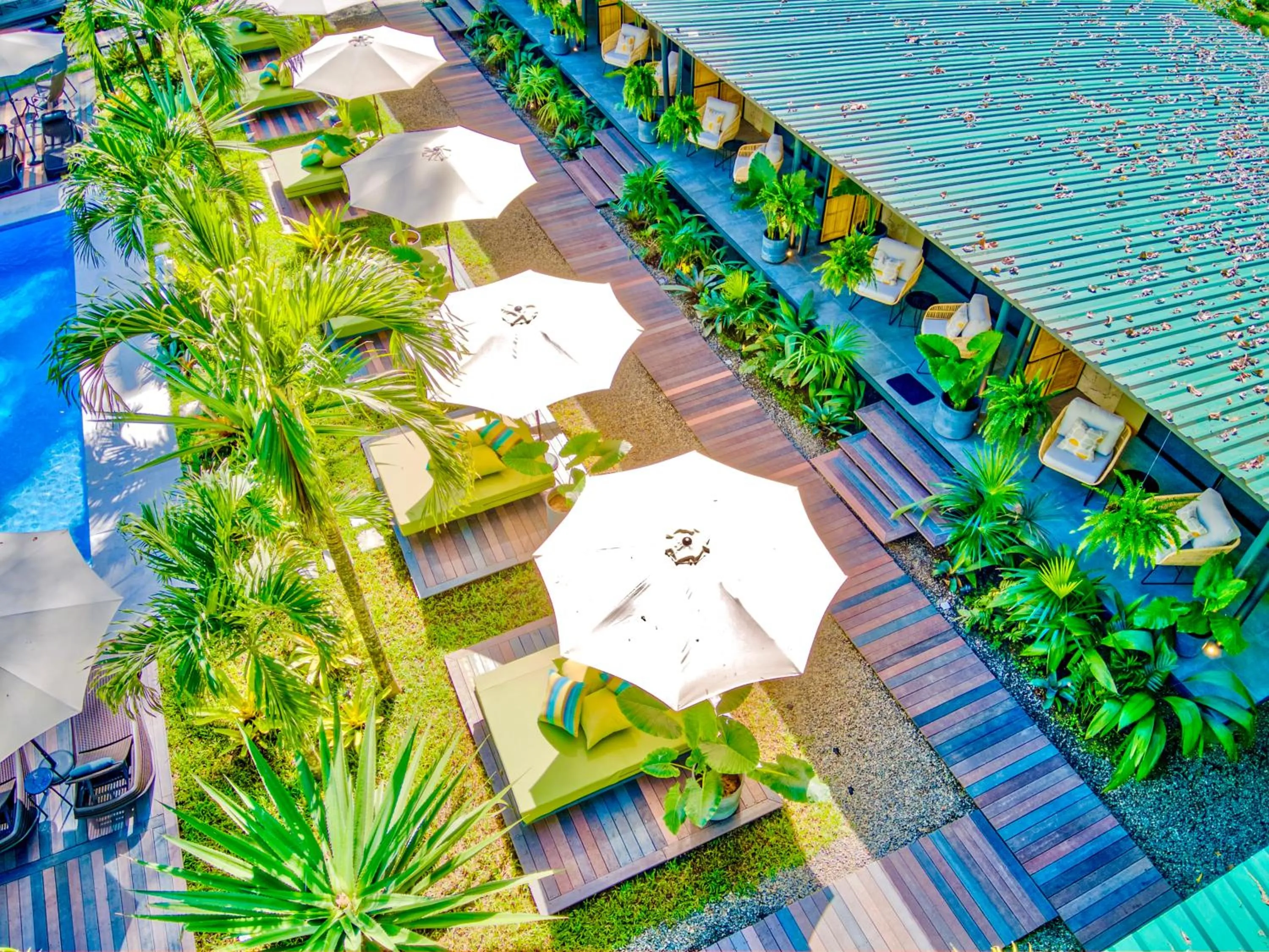 Garden view in Exôtico Beach Hotel