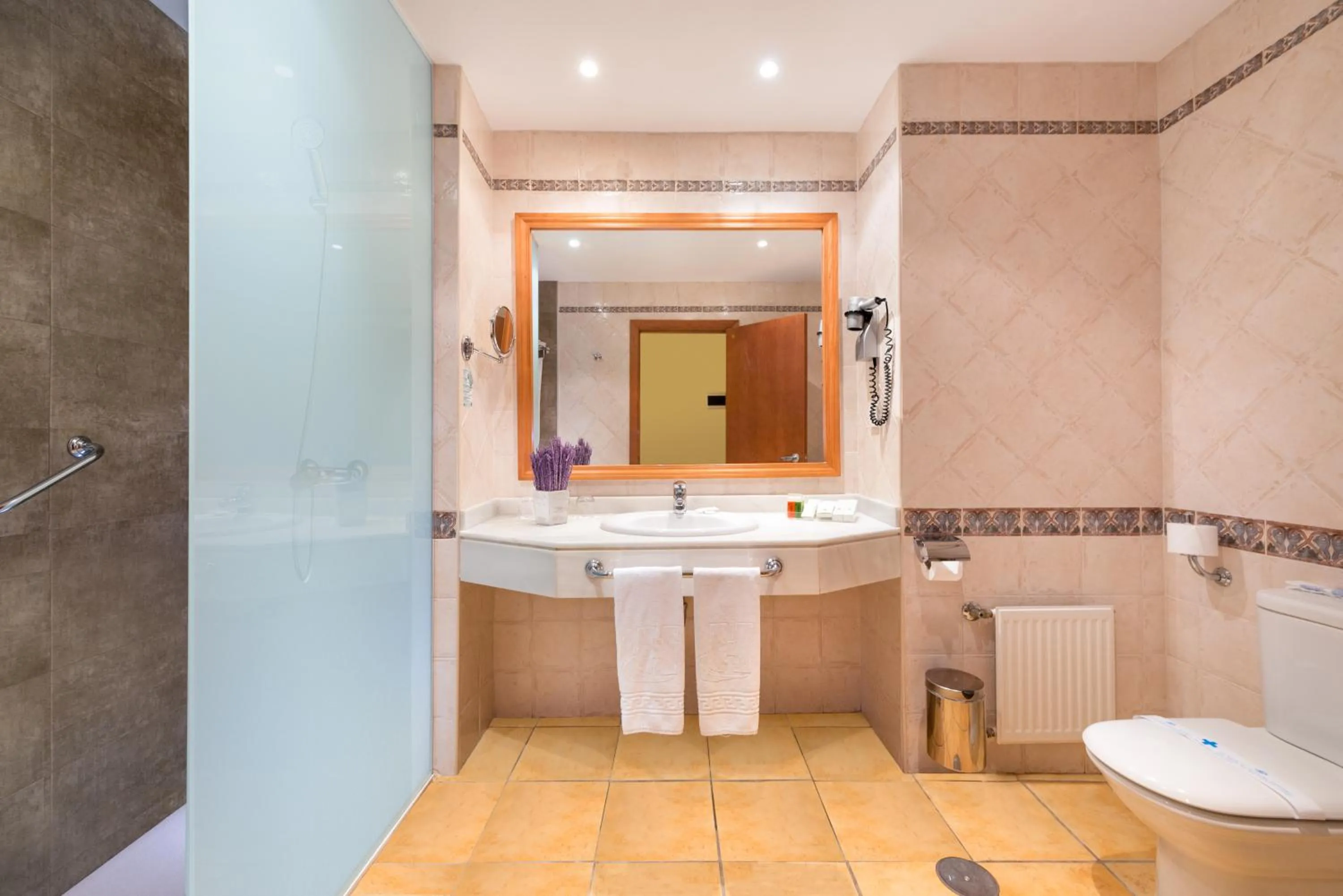 Shower in Hotel IPV Palace & Spa - Adults Recommended