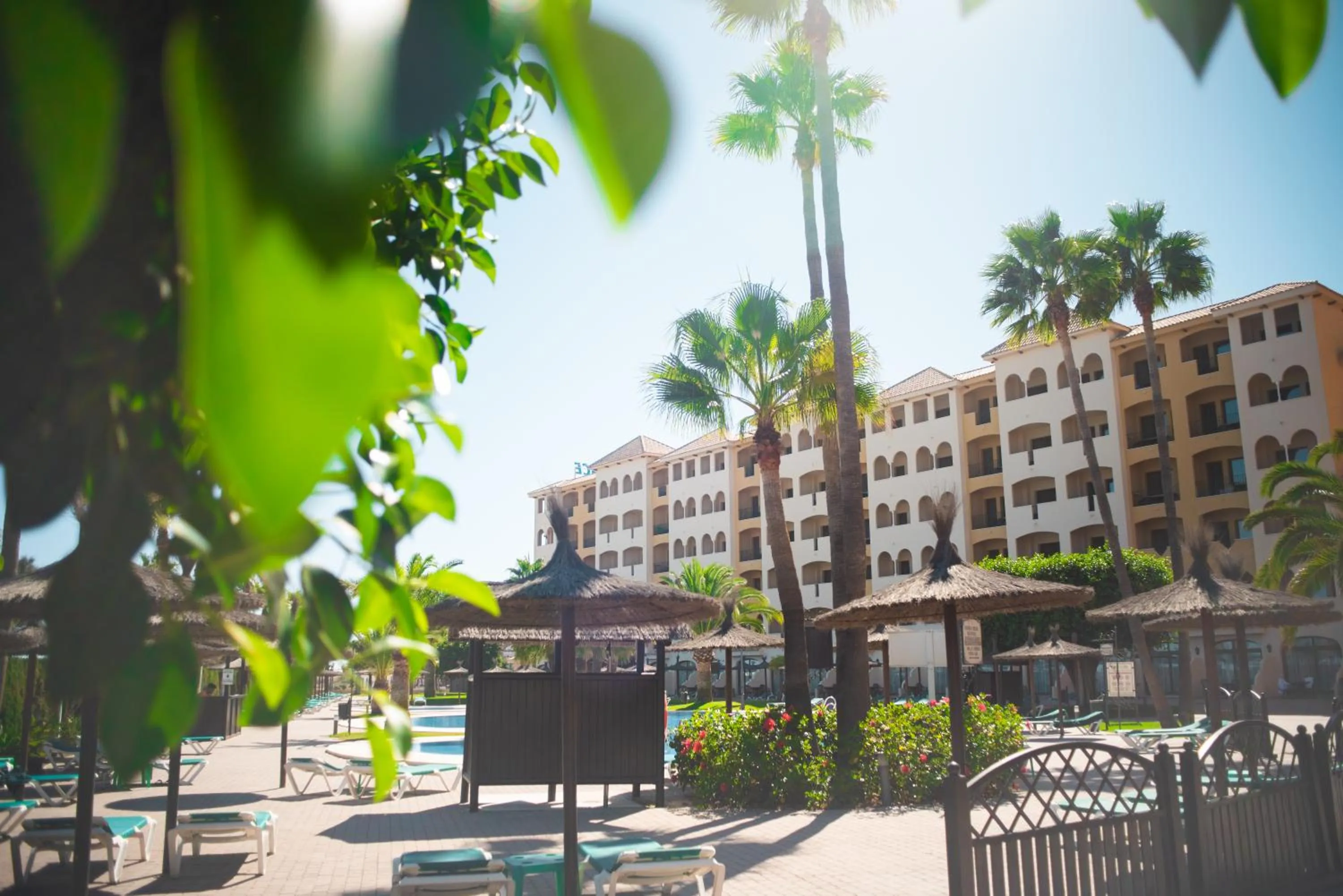 Garden in Hotel IPV Palace & Spa - Adults Recommended