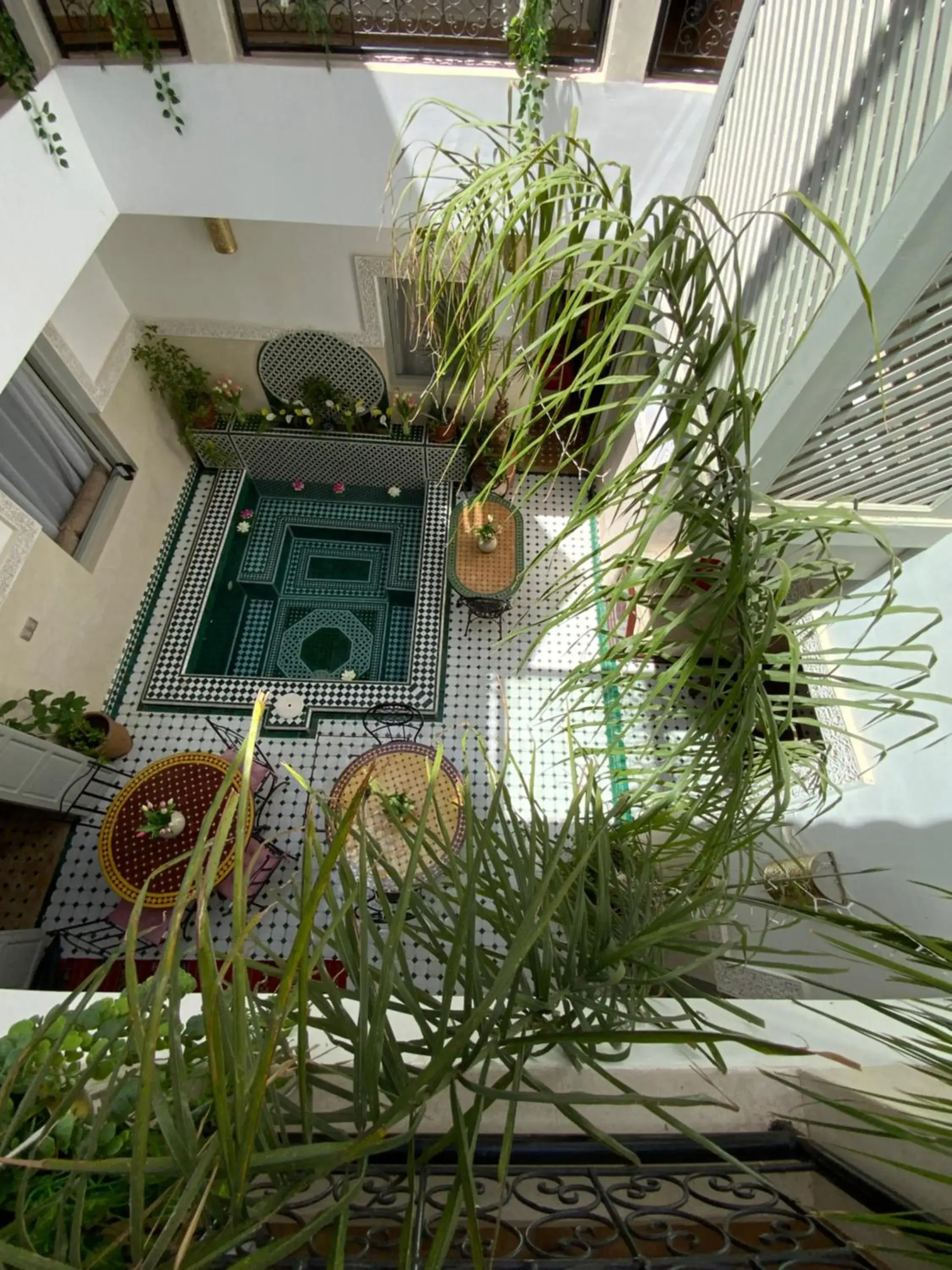 Five-Bedroom House in Riad privatisé Magnolia Five-Bedroom House in Riad privatisé Magnolia