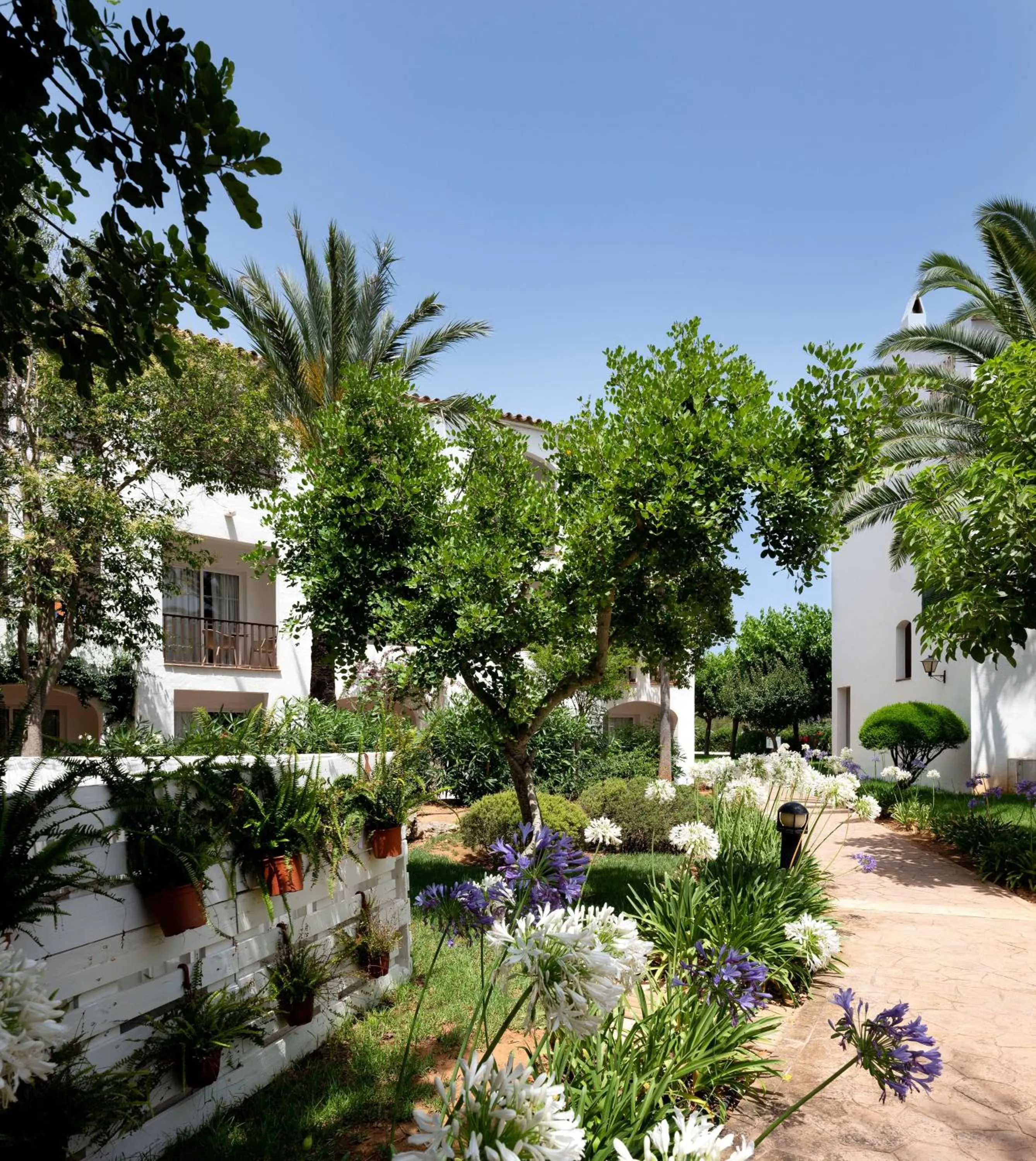 Property building in SOL Falcó Menorca