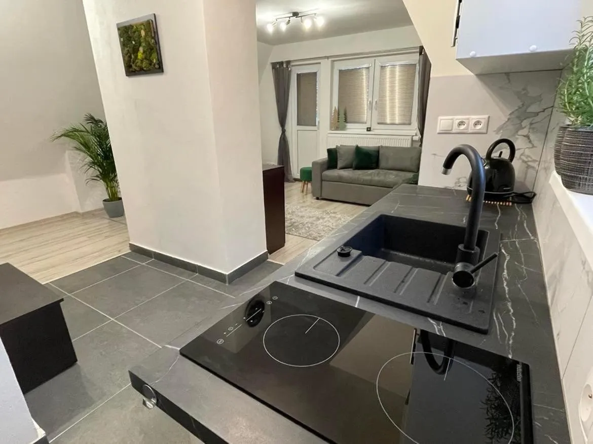 Kitchen or kitchenette in Apartmány Foresta Jasná