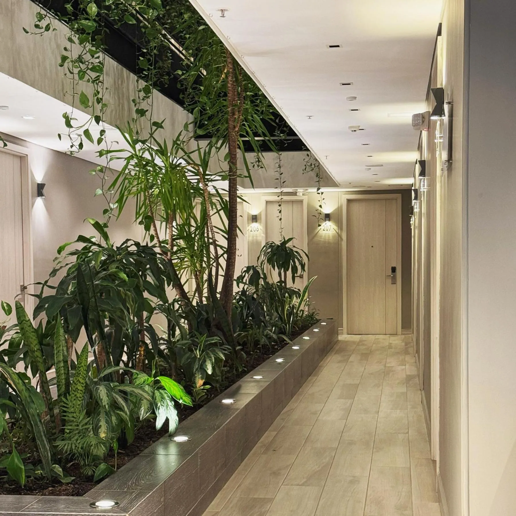 Garden in 4 Sur Hotel