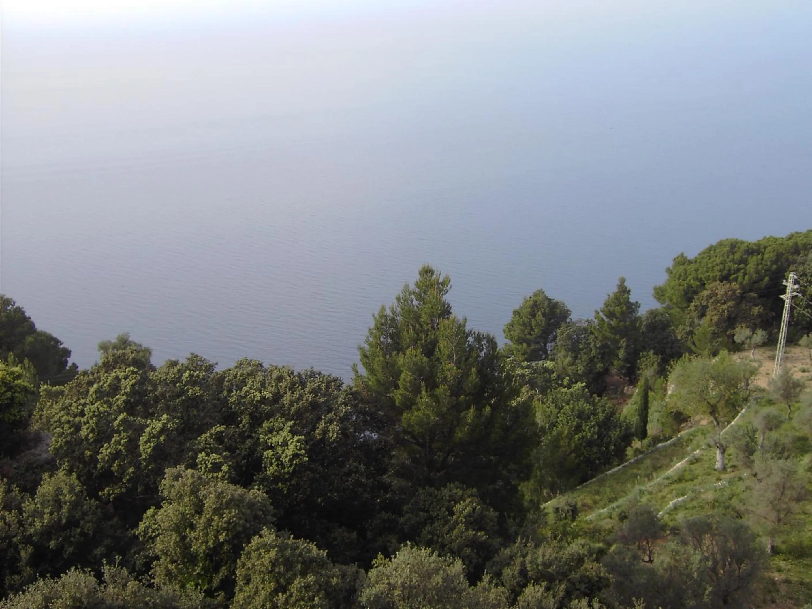 Photo of the whole room in Bordoy Continental Valldemossa