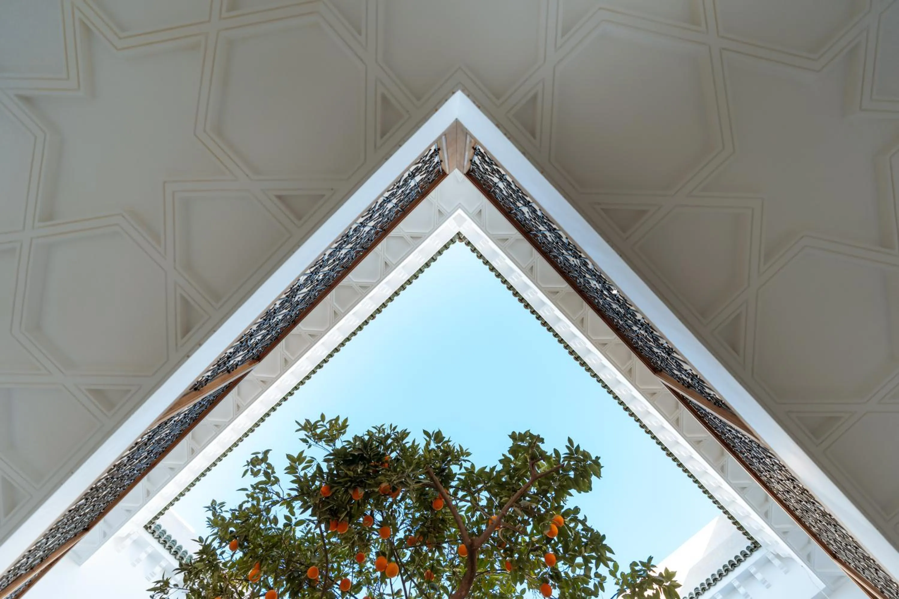 Day in Riad Botanica