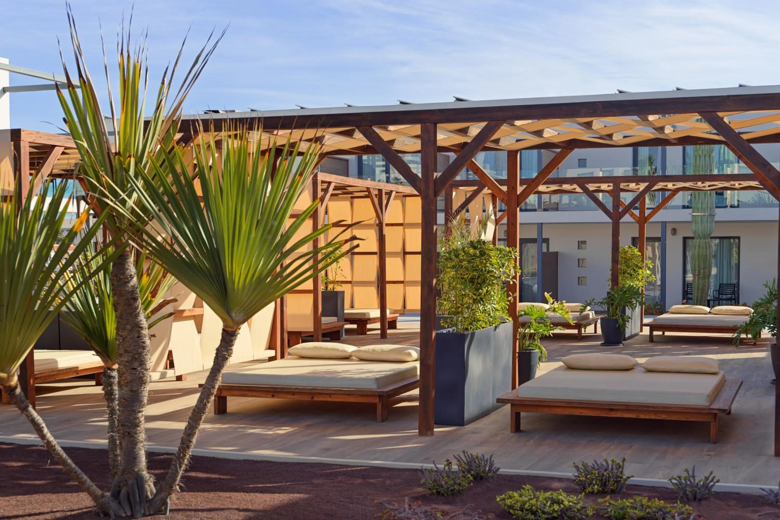 sunbed in H10 Ocean Dreams Hotel Boutique - Adults Only