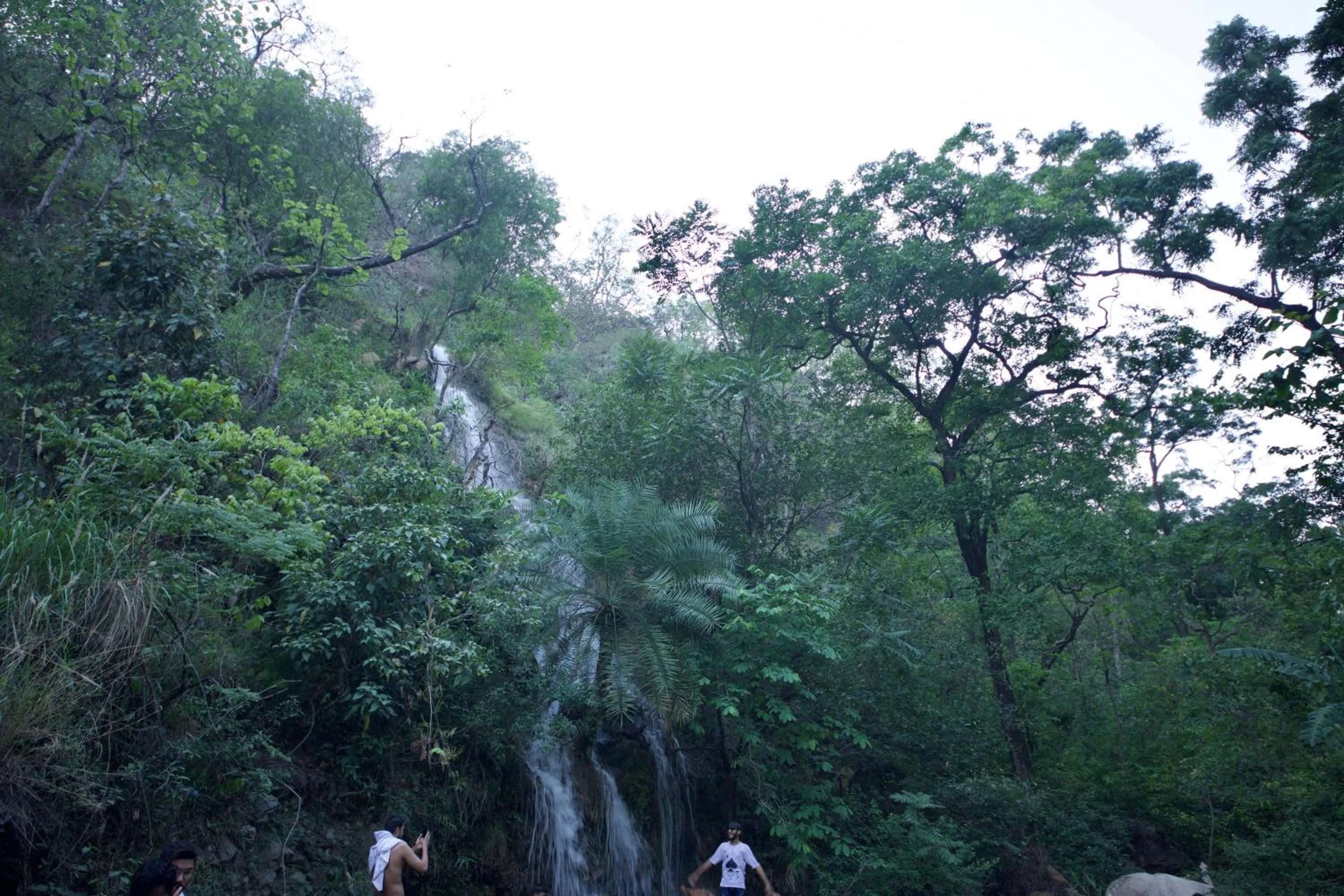 Spring in Perfectstayz Value Forest Valley Near Waterfall