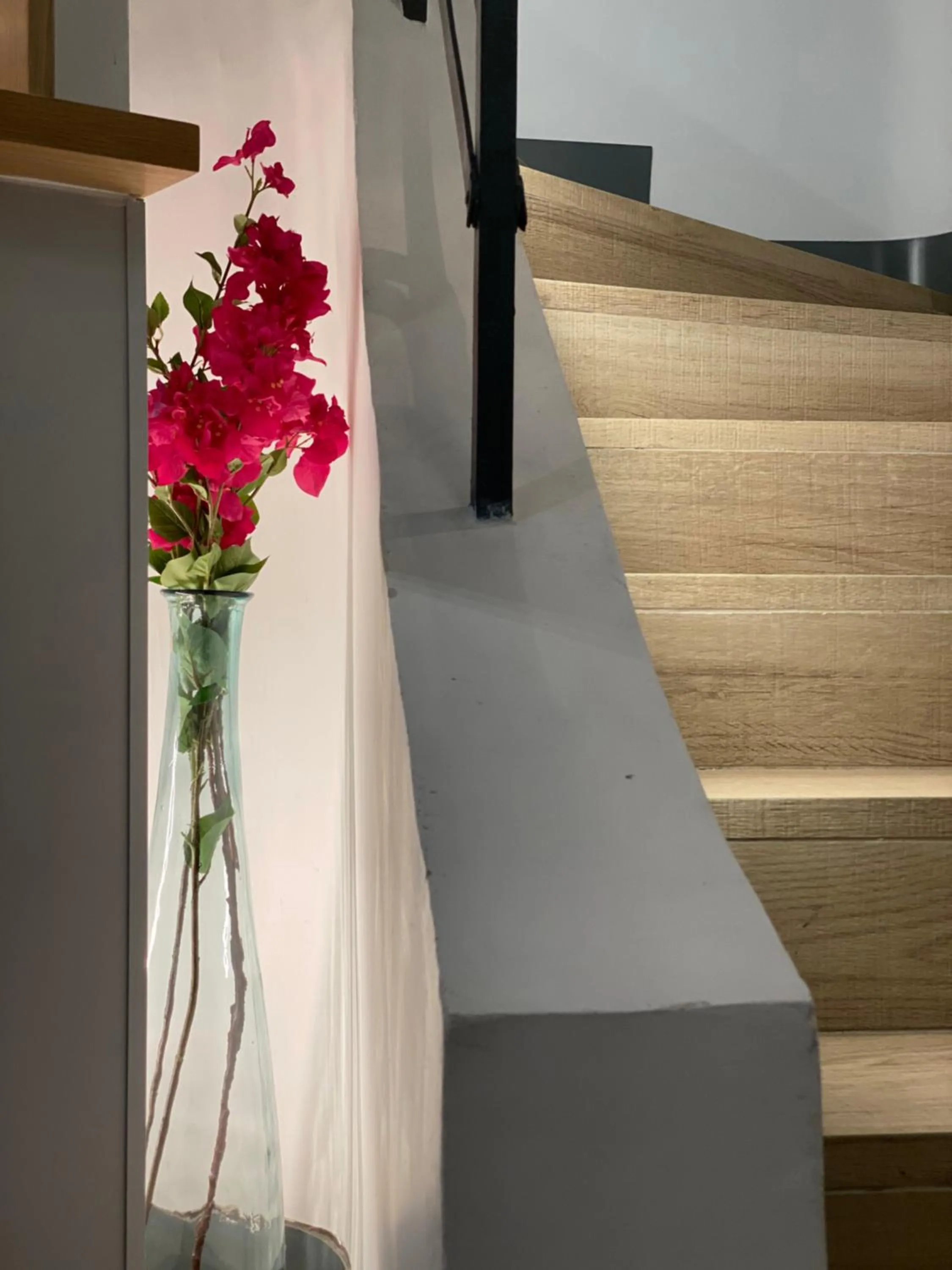 Lobby or reception in Hostal Paris