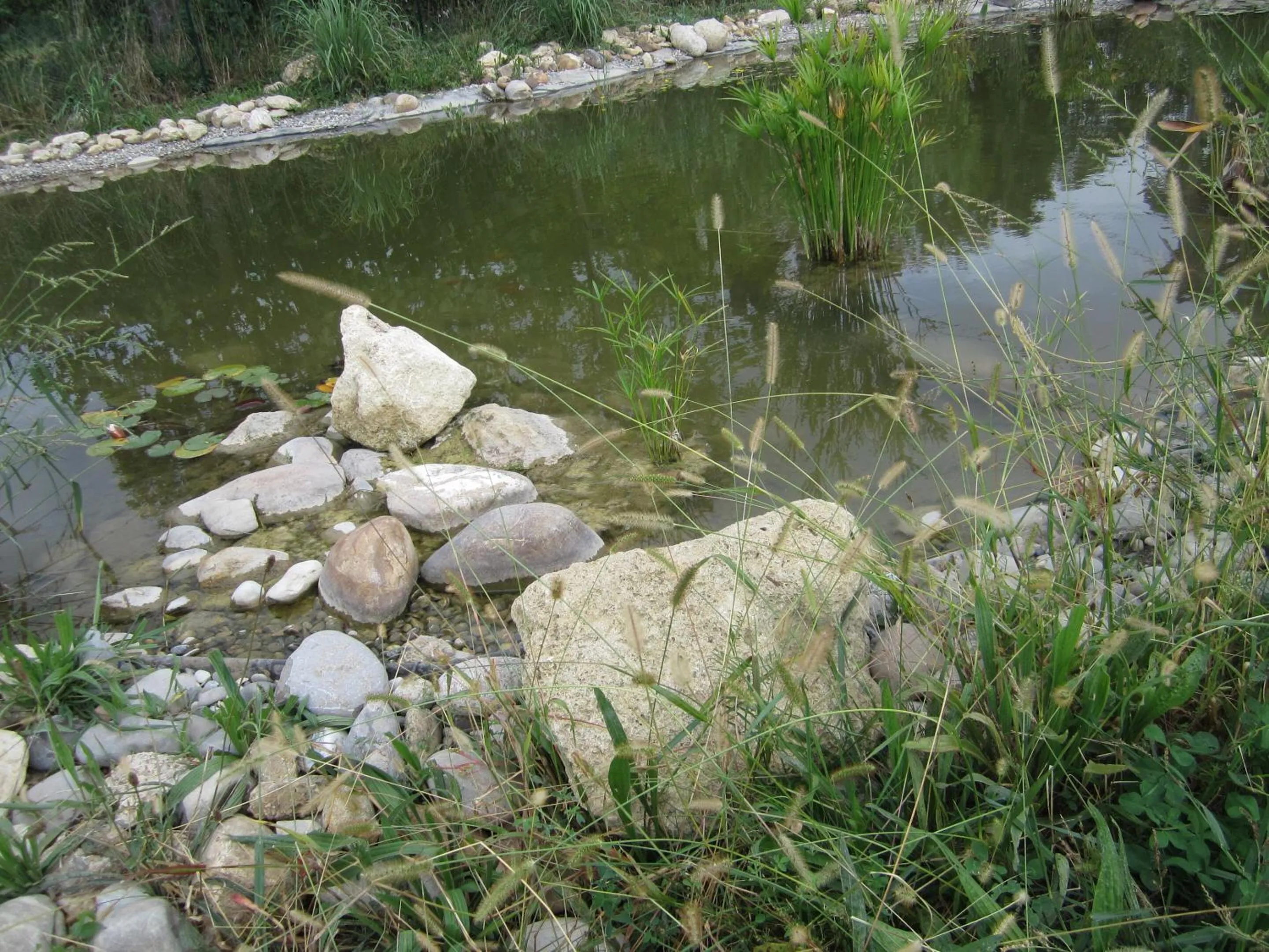 Activities in BASTIDE DES MARTELIERES