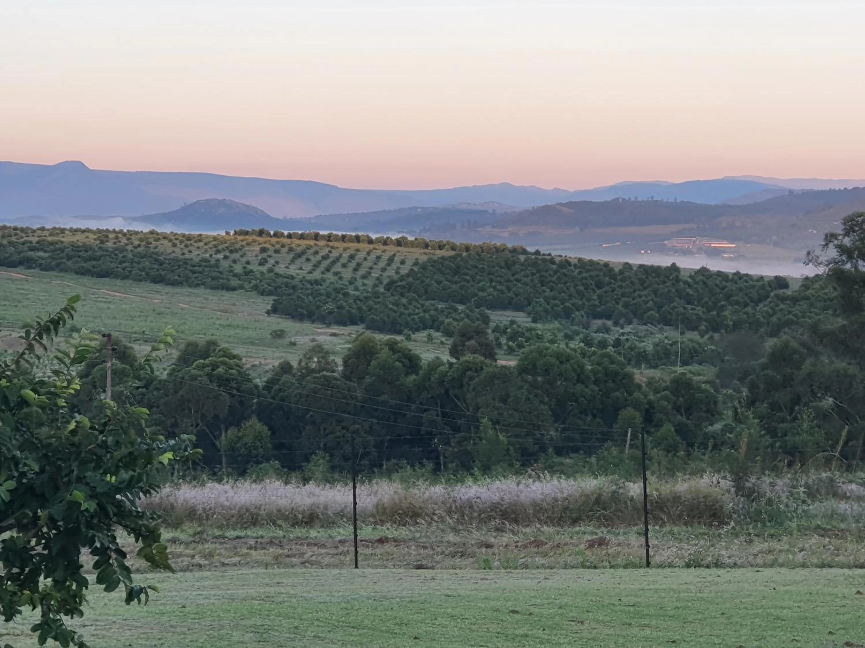 View (from property/room) in KatiKati Eco Lodge