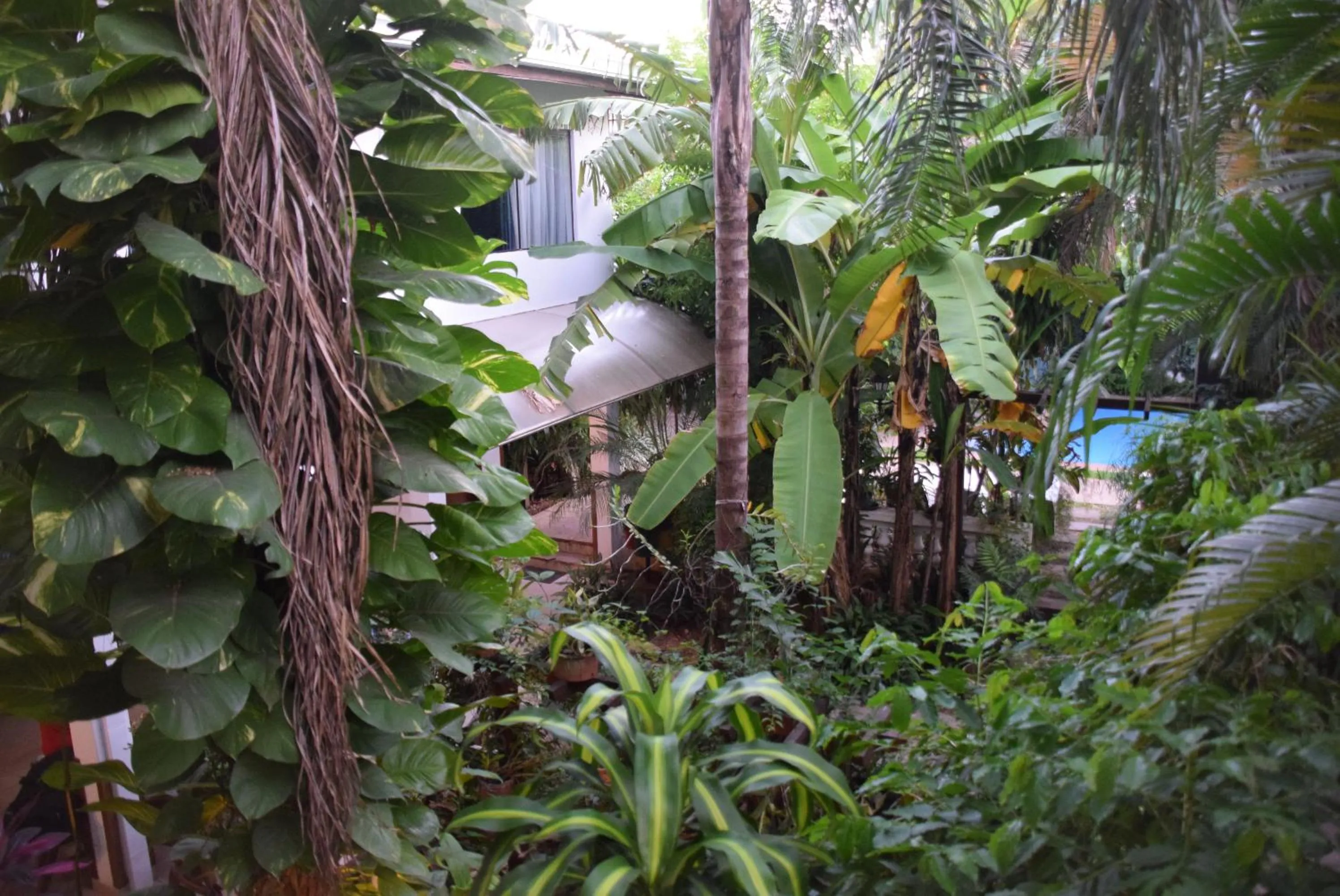 Pool view in Hotel Portal del Sol