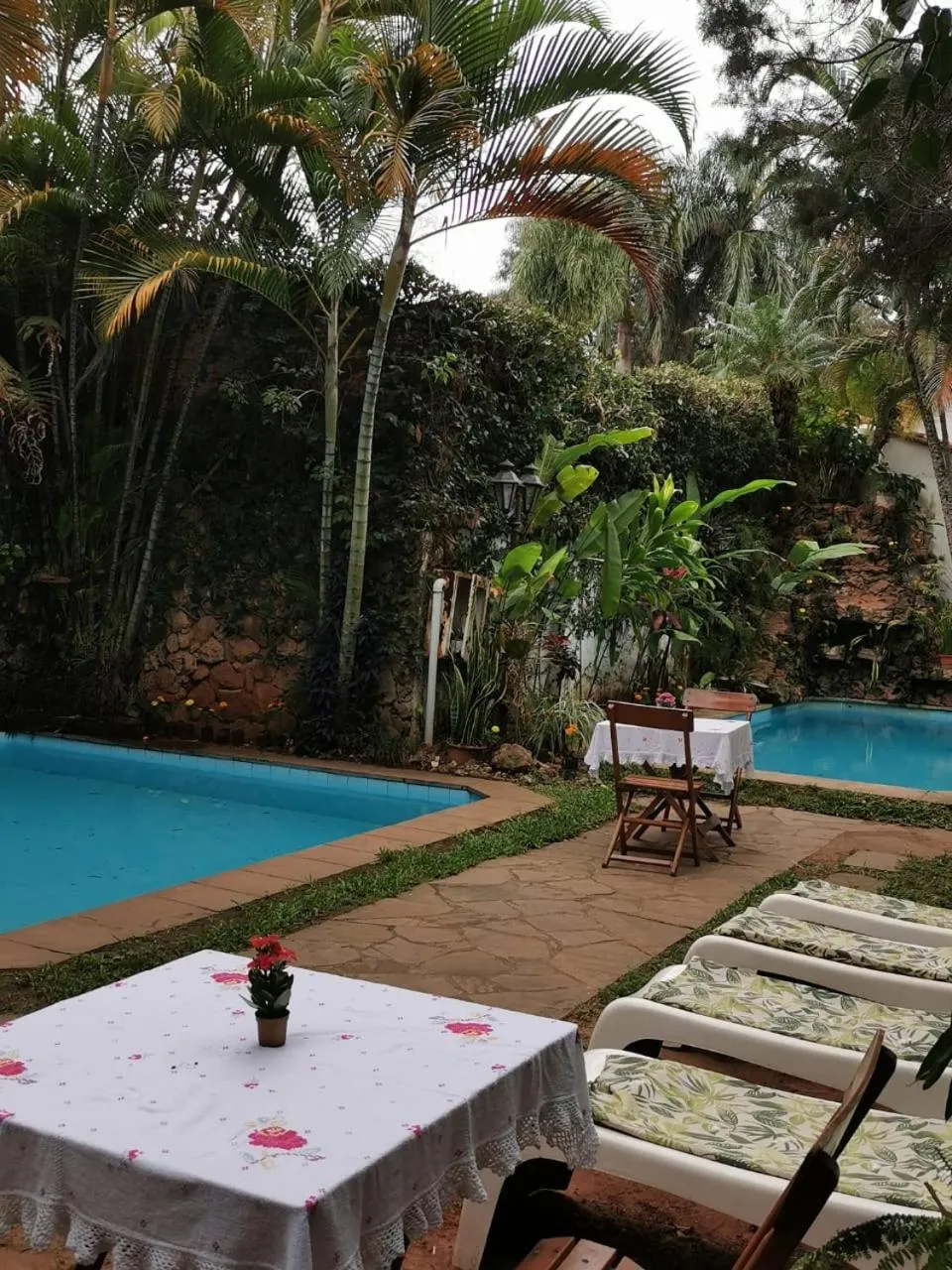 Garden in Hotel Portal del Sol