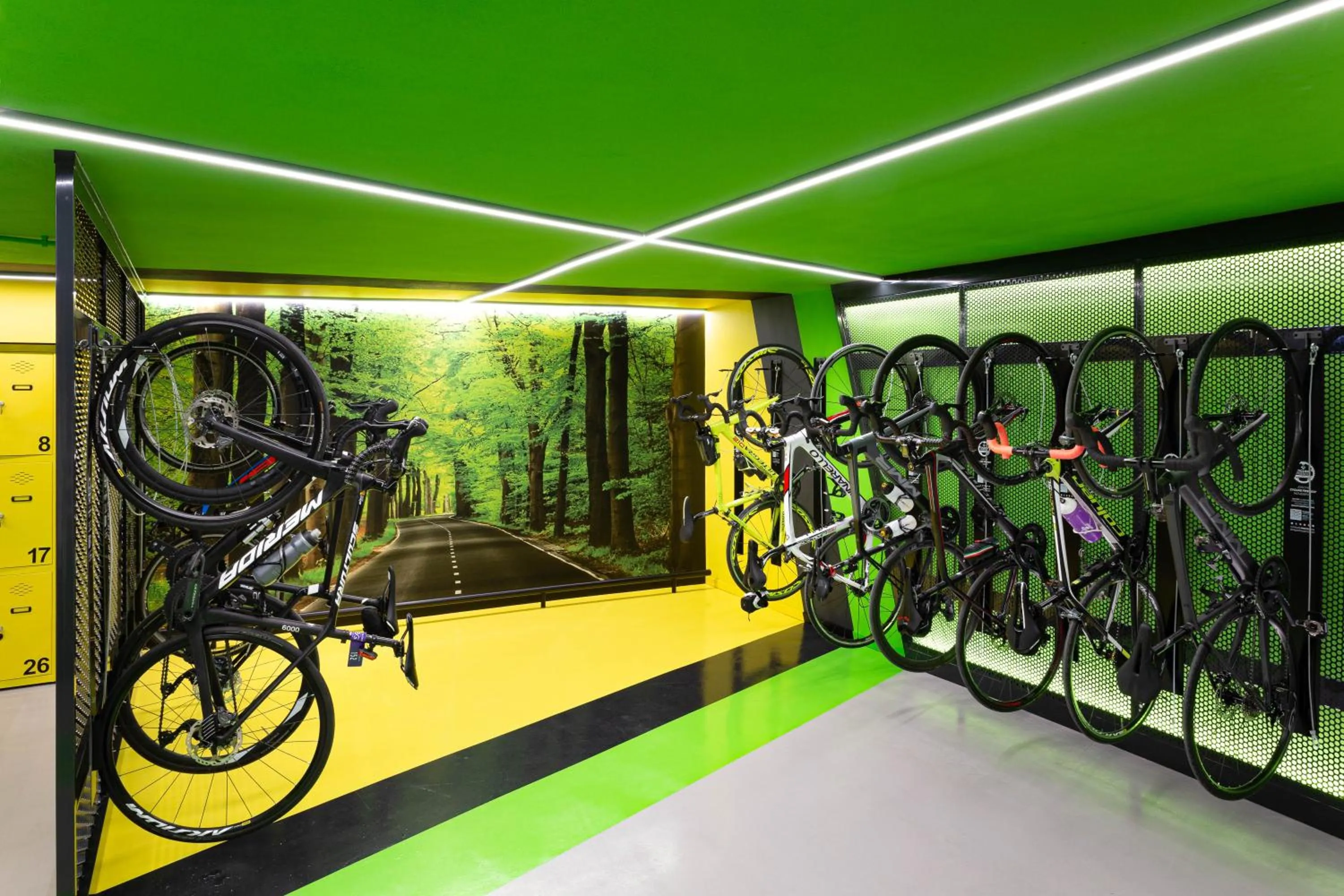 Cycling in Hotel Don Pancho - Designed for Adults