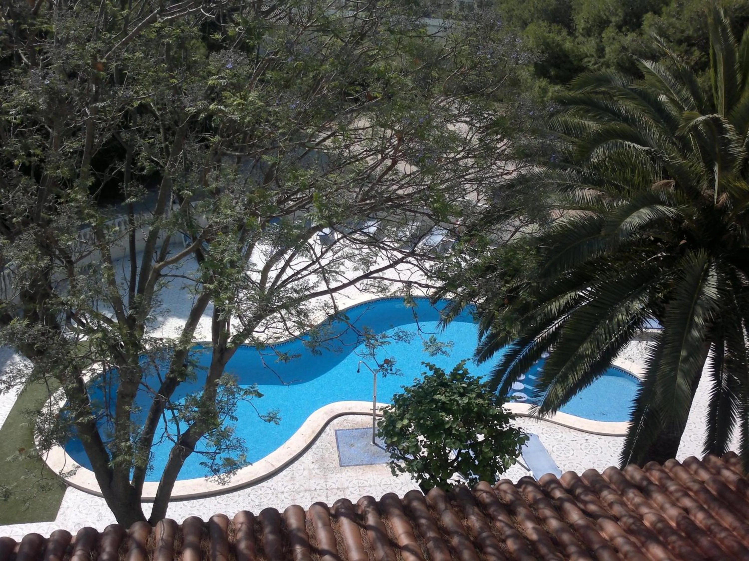Pool view in Hotel Roca