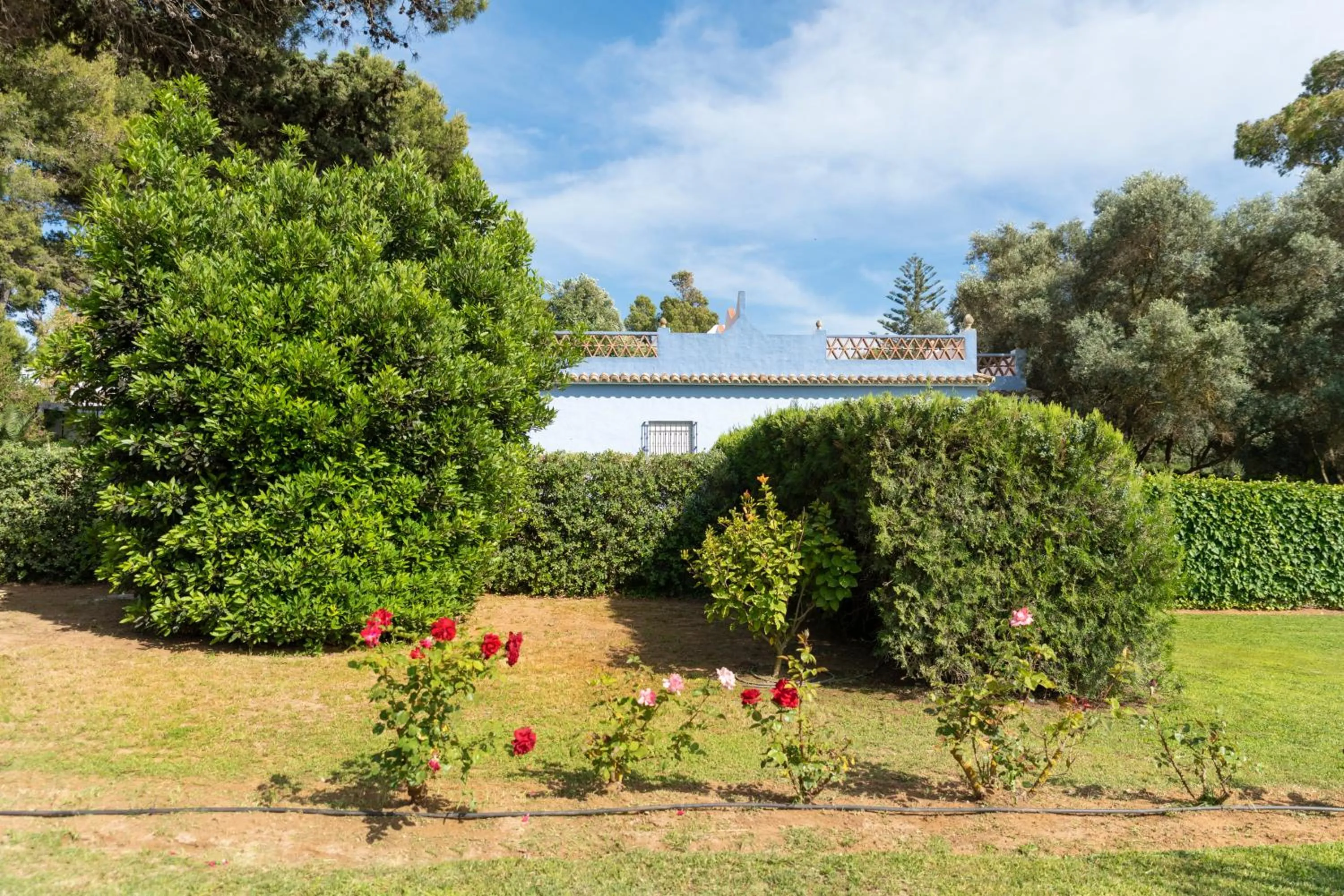 Garden in Suites Cortijo Fontanilla