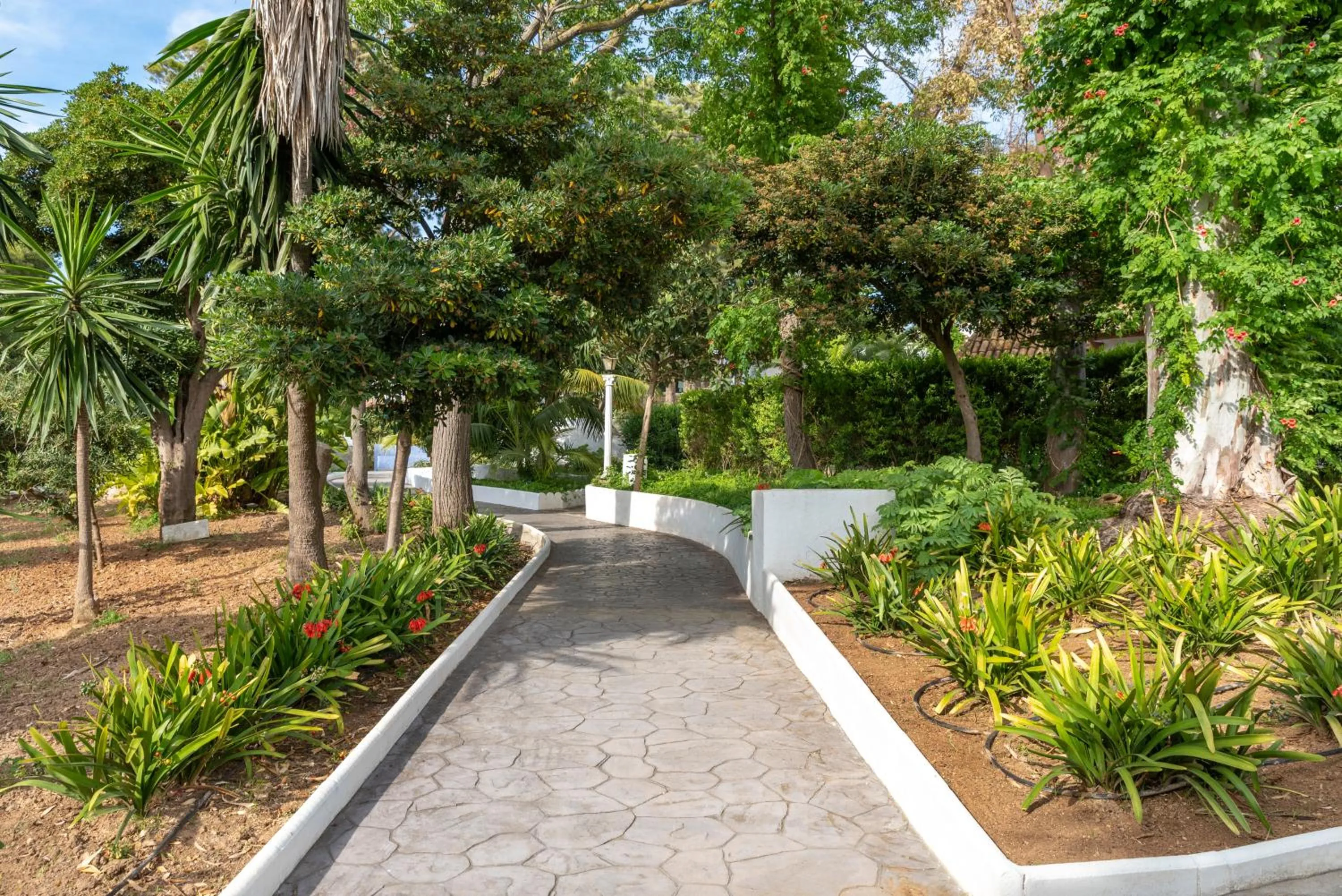 Garden in Suites Cortijo Fontanilla