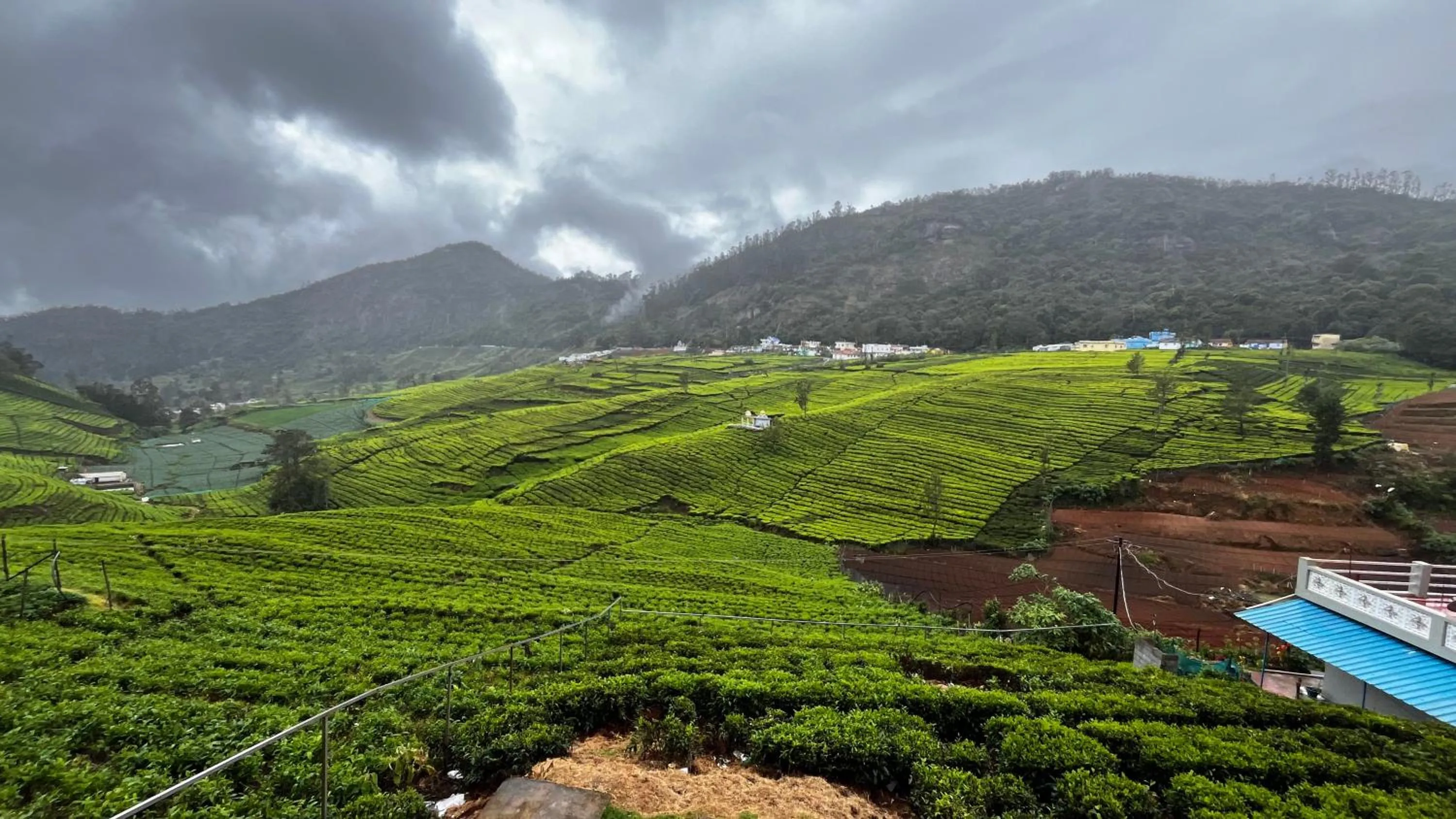 View (from property/room) in Tea Leaf Stays by Brown Tree Resorts